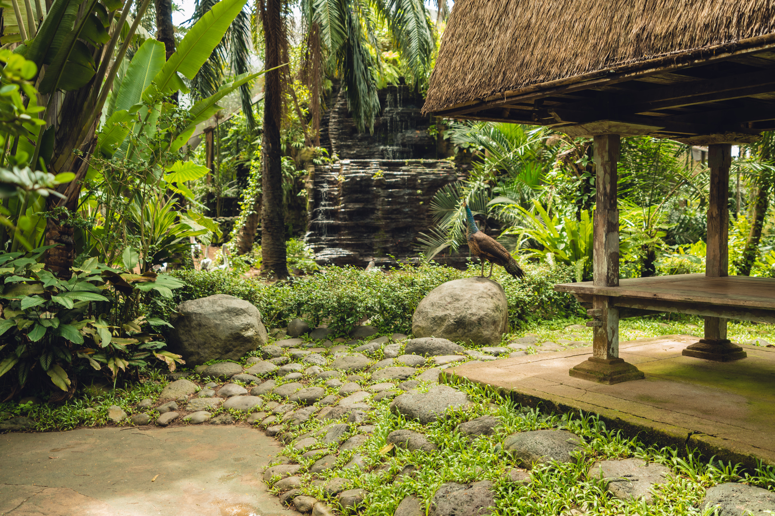 Бали. Фотографирую для себя, своей семьи и друзей!