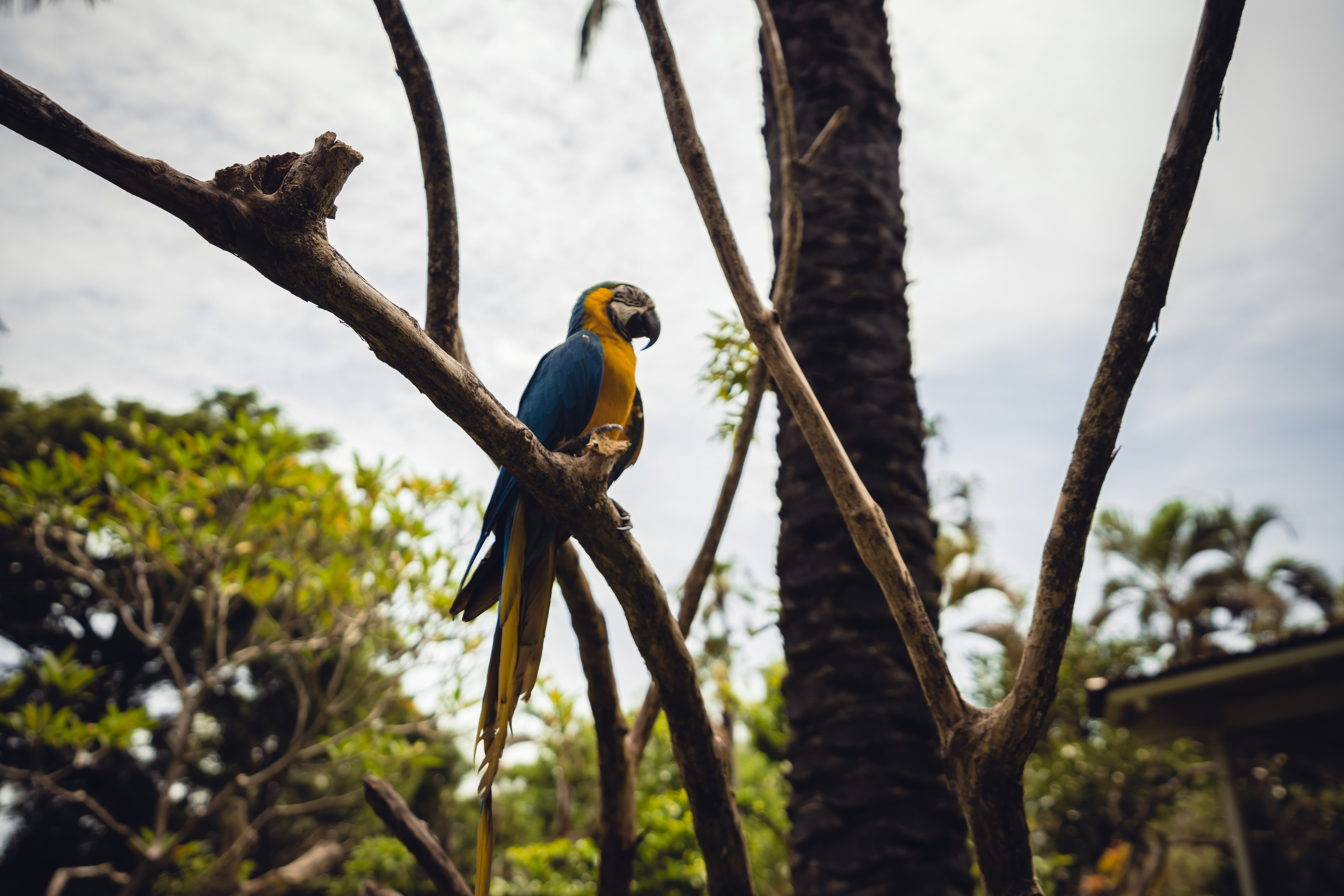 Бали. Фотографирую для себя, своей семьи и друзей!