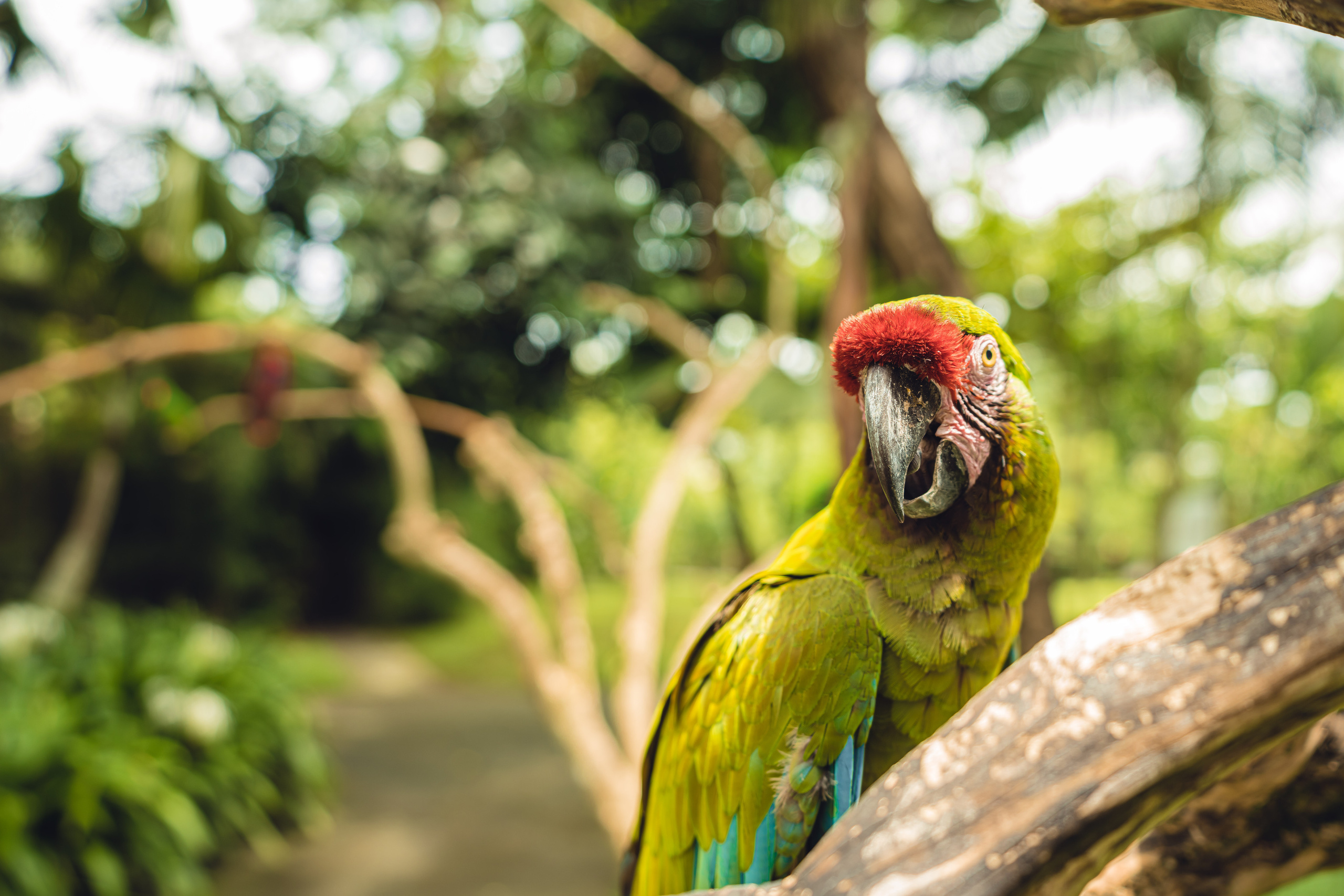 Бали. Фотографирую для себя, своей семьи и друзей!