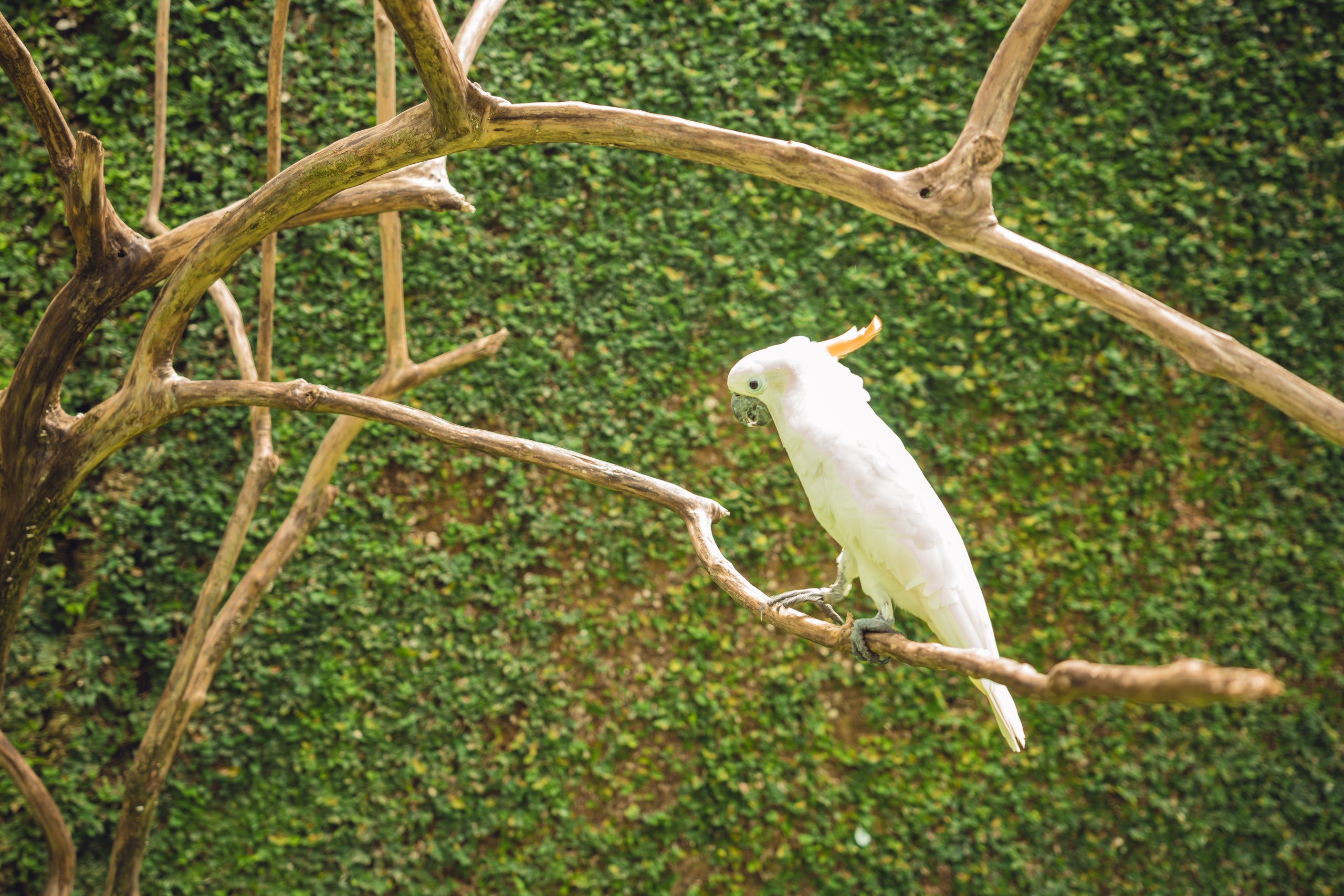Бали. Фотографирую для себя, своей семьи и друзей!