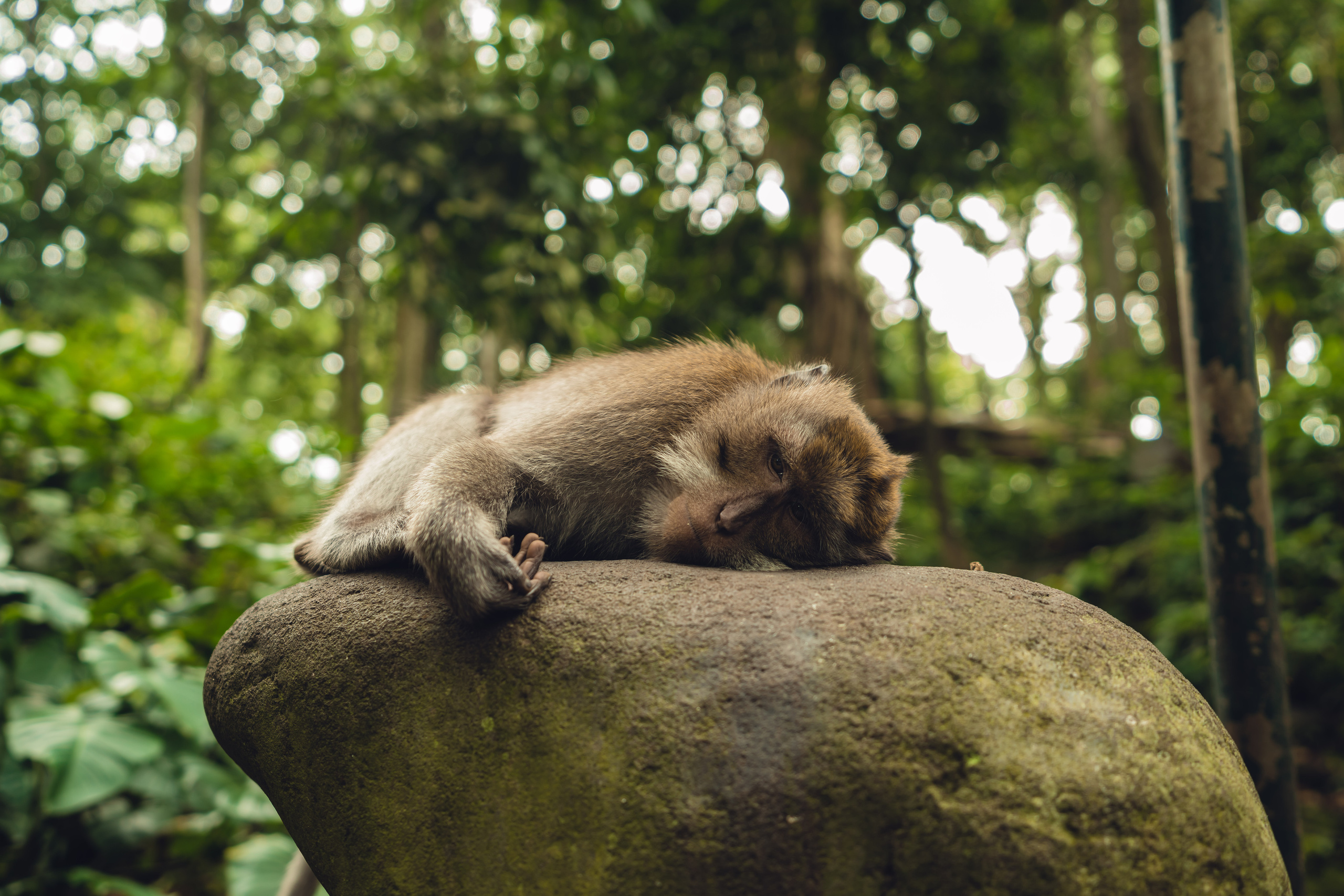 Бали. Фотографирую для себя, своей семьи и друзей!