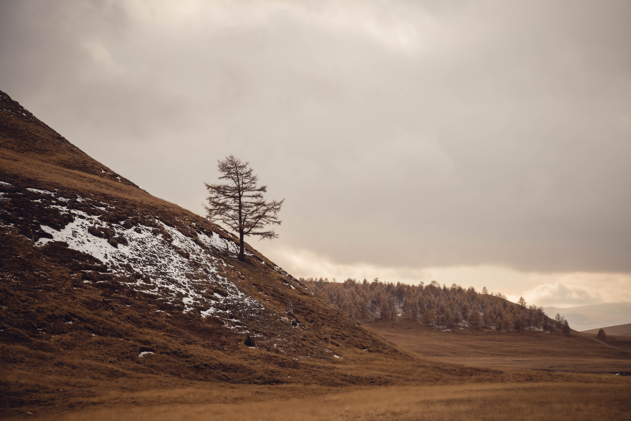 Алтай. Фотографирую для себя, своей семьи и друзей!
