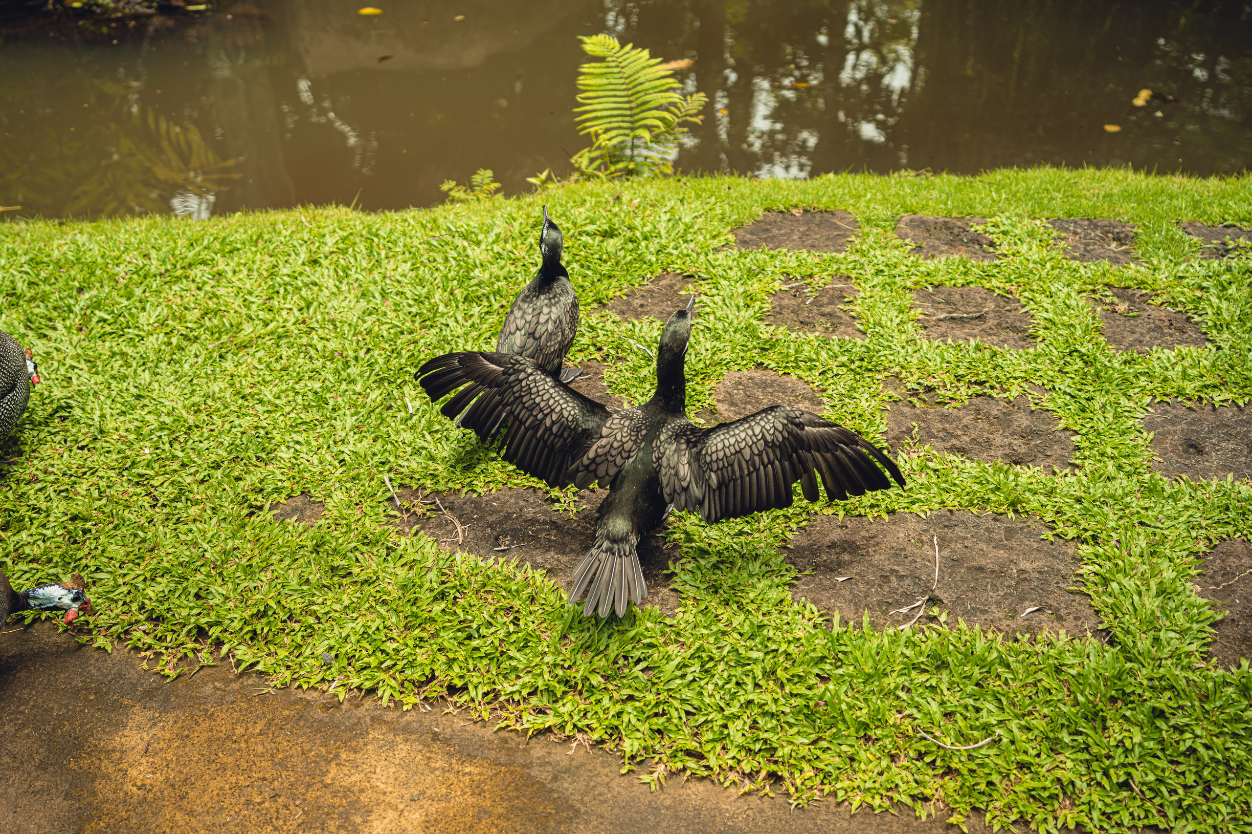 Бали. Фотографирую для себя, своей семьи и друзей!