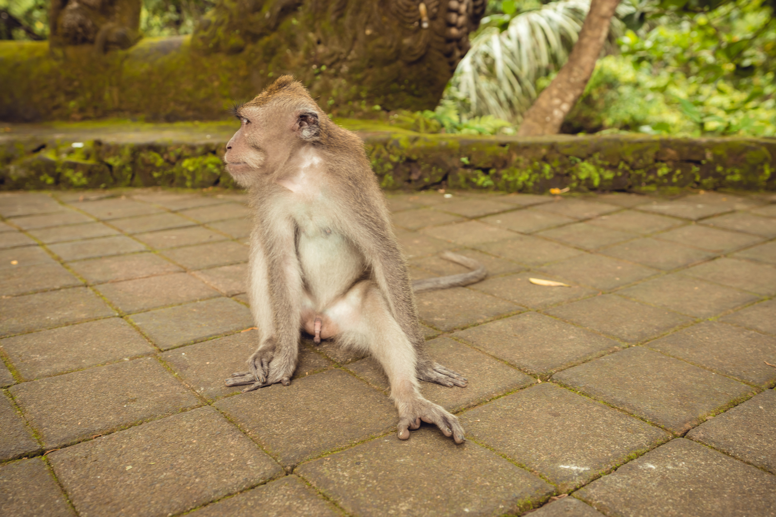 Бали. Фотографирую для себя, своей семьи и друзей!
