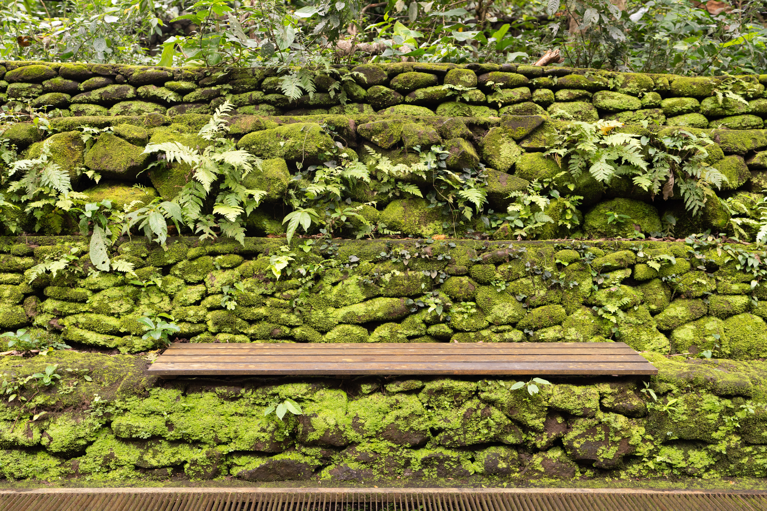 Бали. Фотографирую для себя, своей семьи и друзей!