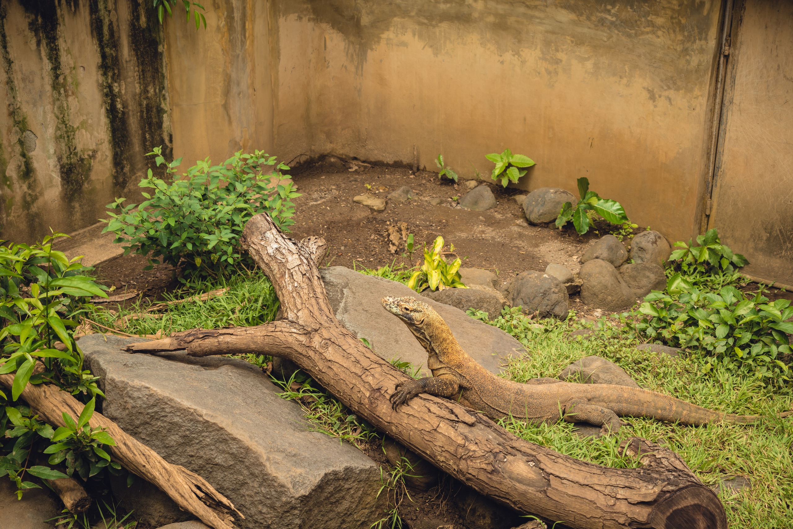 Бали. Фотографирую для себя, своей семьи и друзей!