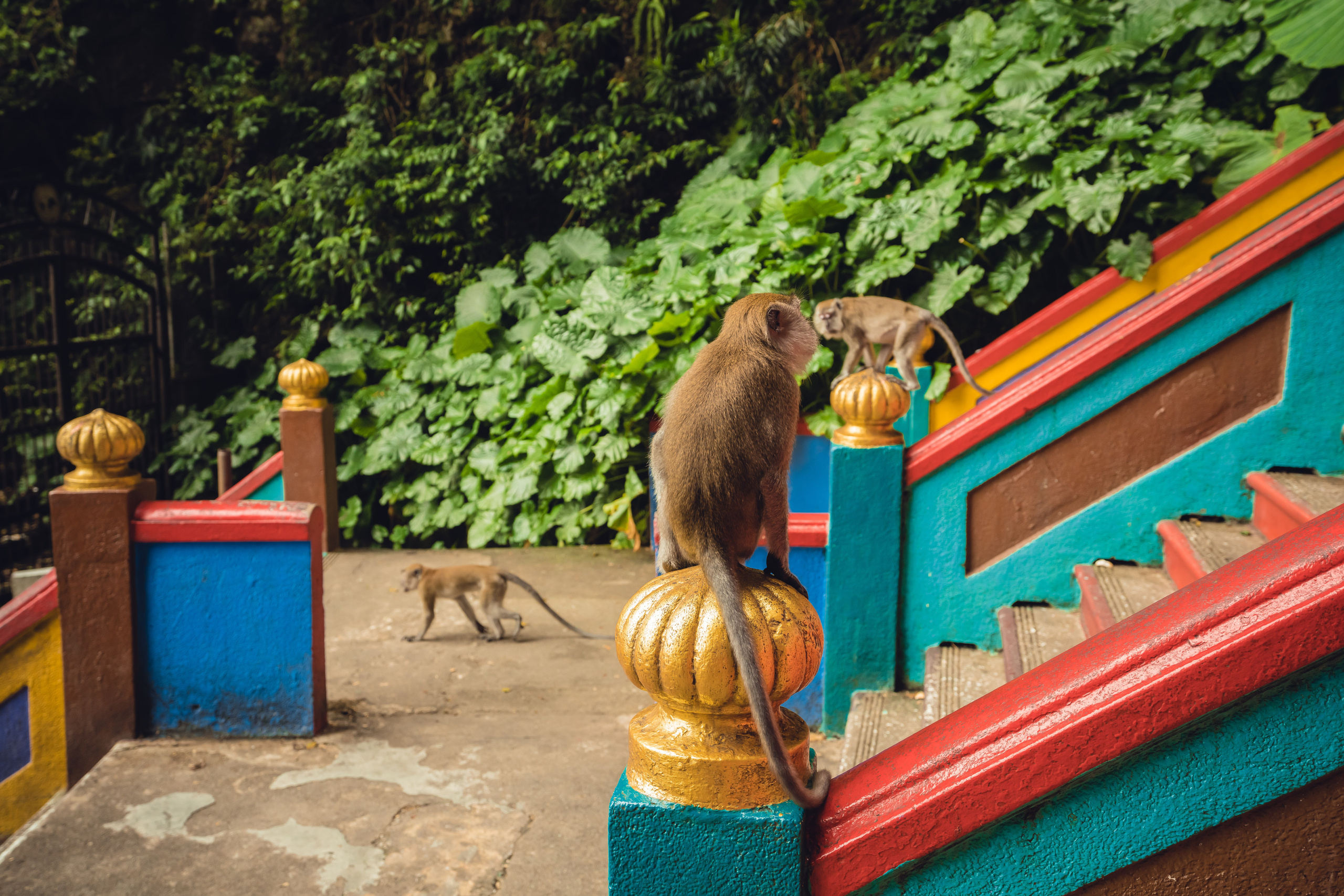 Куала Лумпур. Фотографирую для себя, своей семьи и друзей!