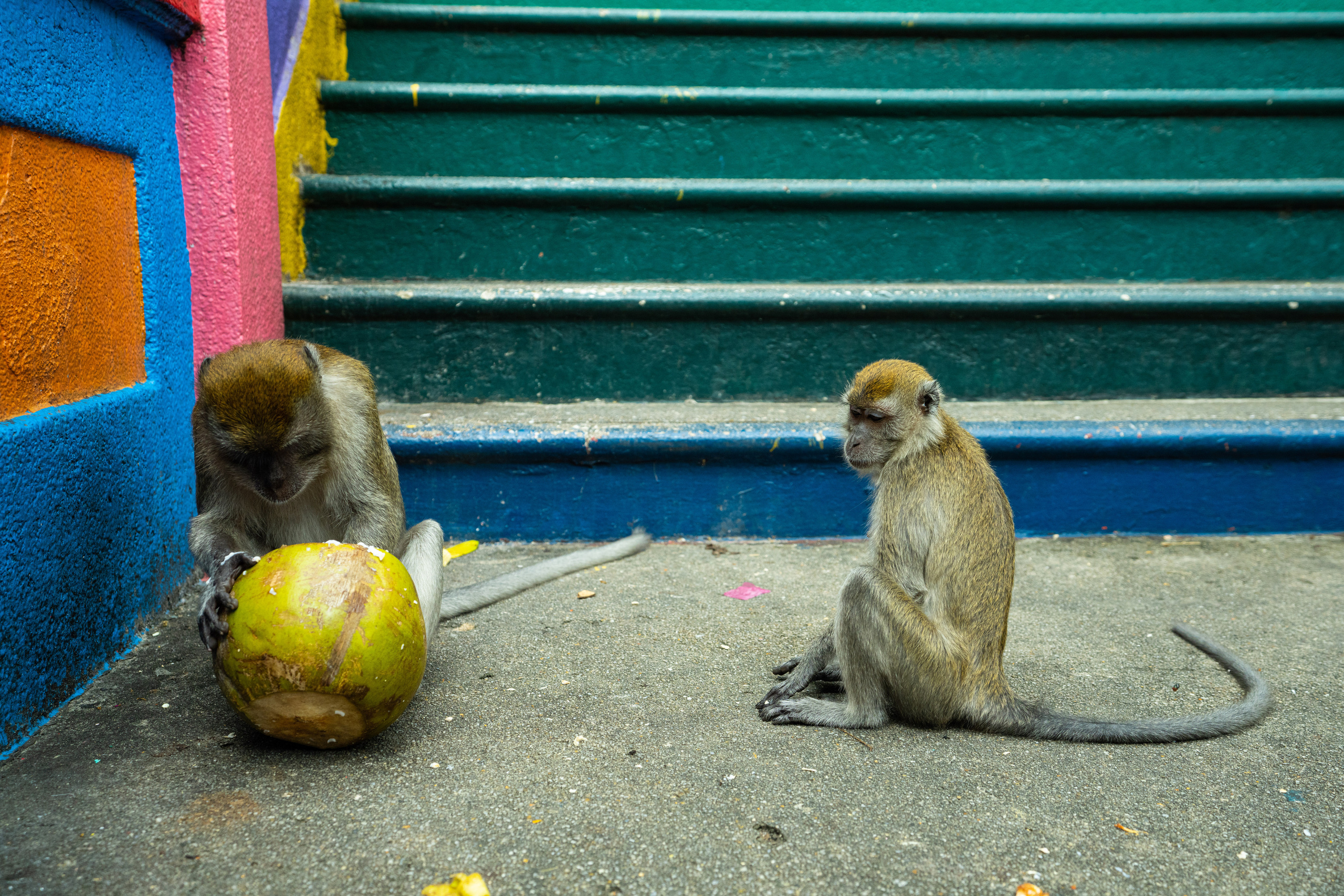 Куала Лумпур. Фотографирую для себя, своей семьи и друзей!