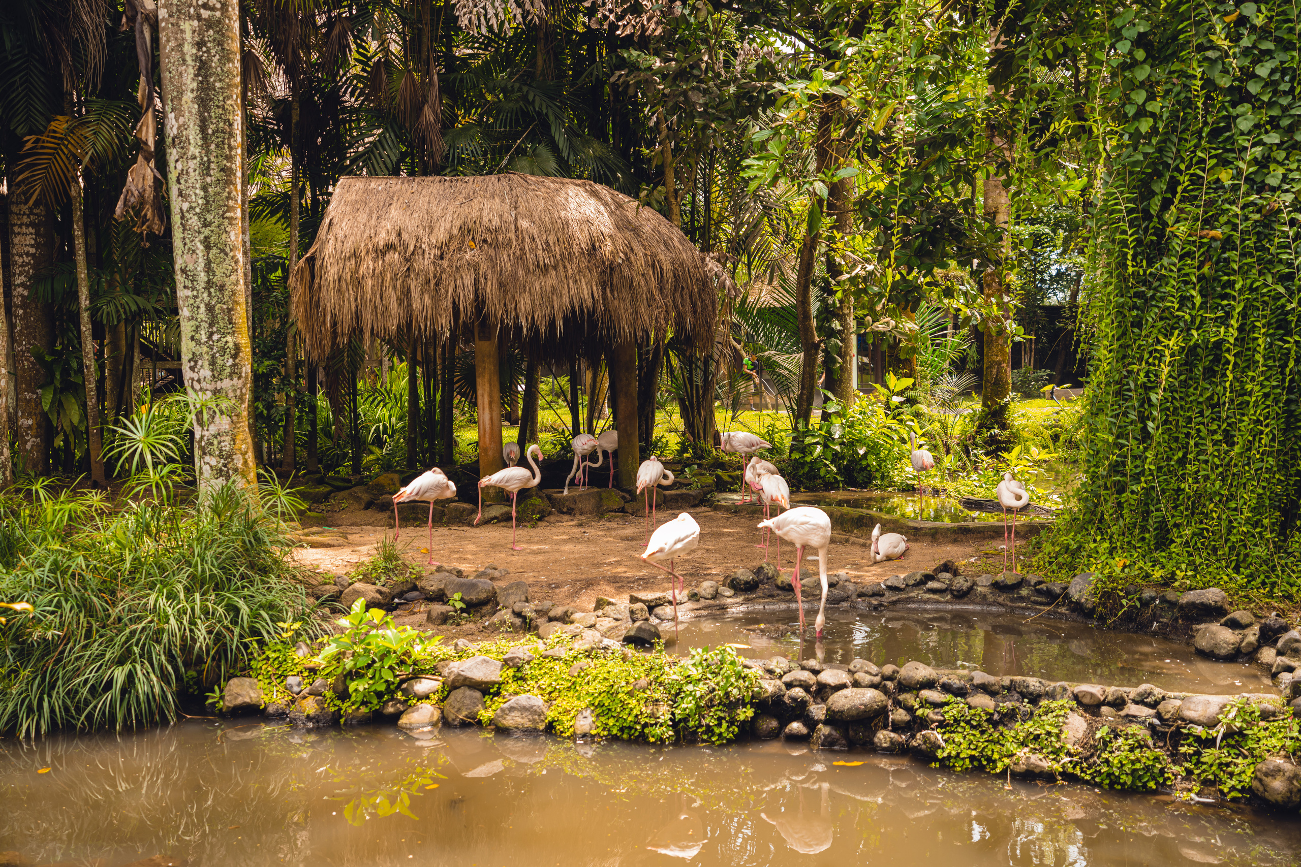 Бали. Фотографирую для себя, своей семьи и друзей!