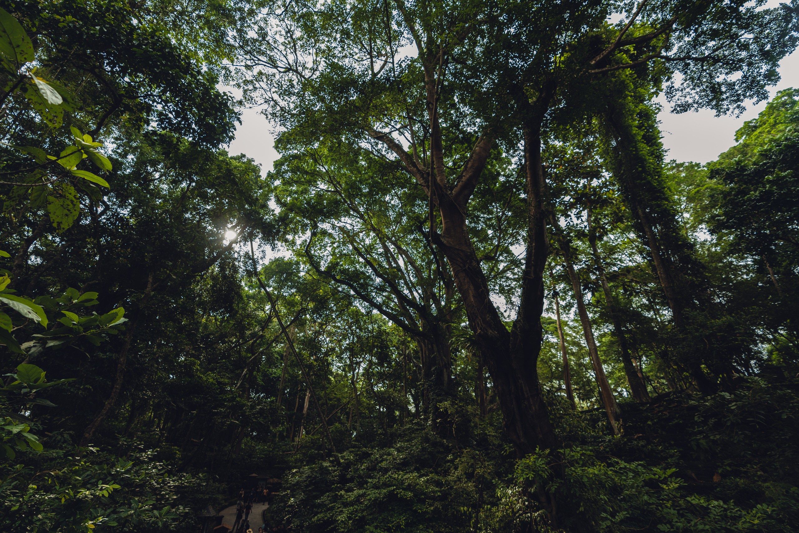 Бали. Фотографирую для себя, своей семьи и друзей!