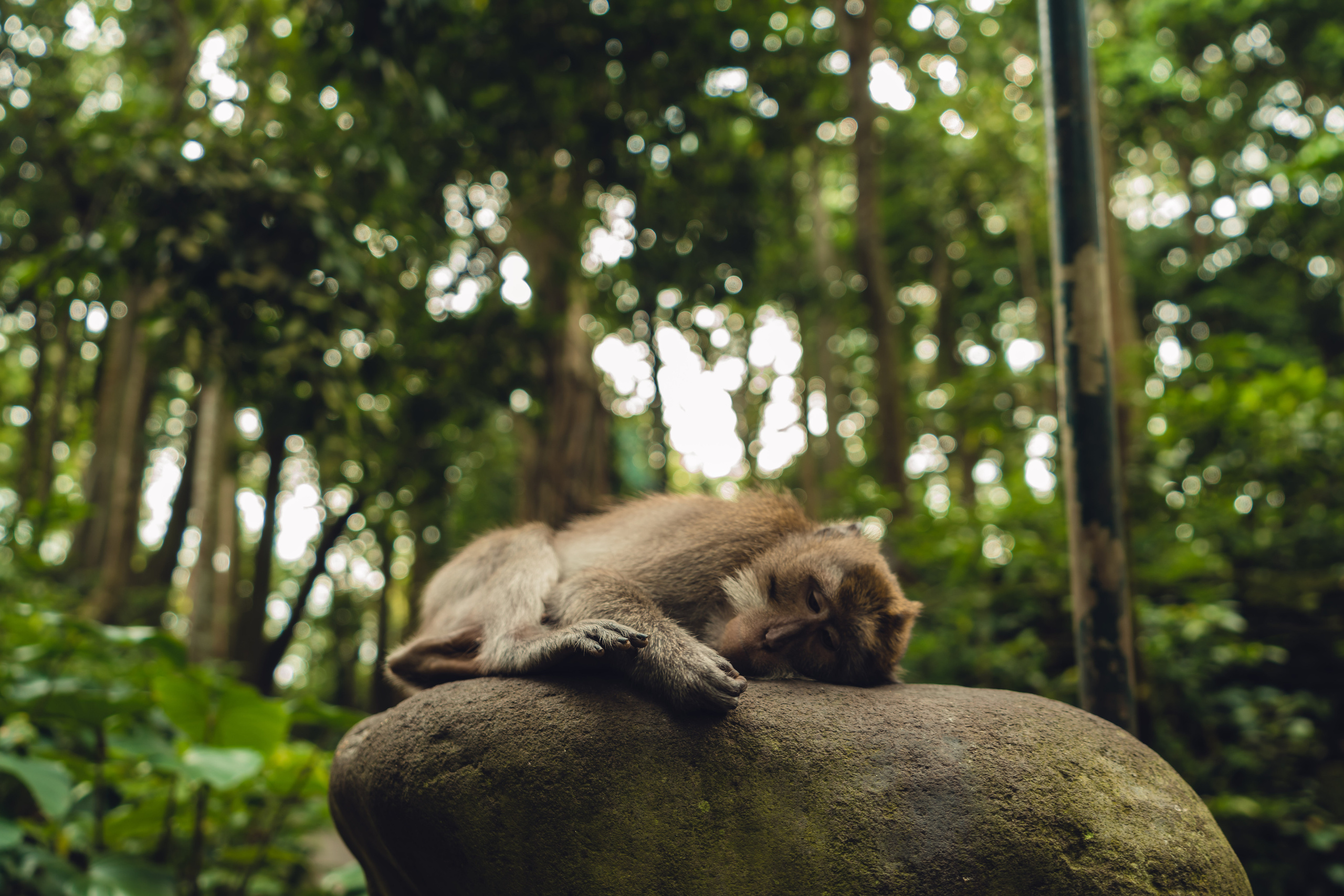 Бали. Фотографирую для себя, своей семьи и друзей!