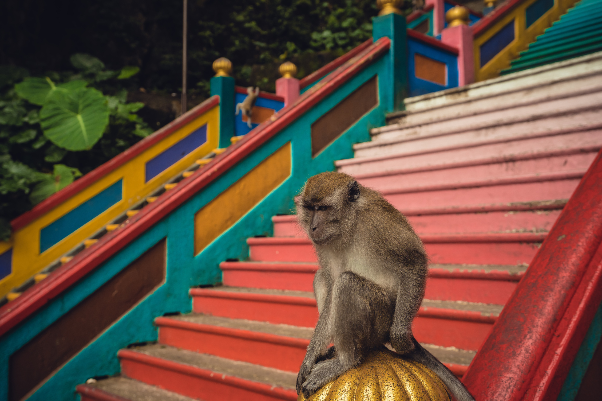 Куала Лумпур. Фотографирую для себя, своей семьи и друзей!