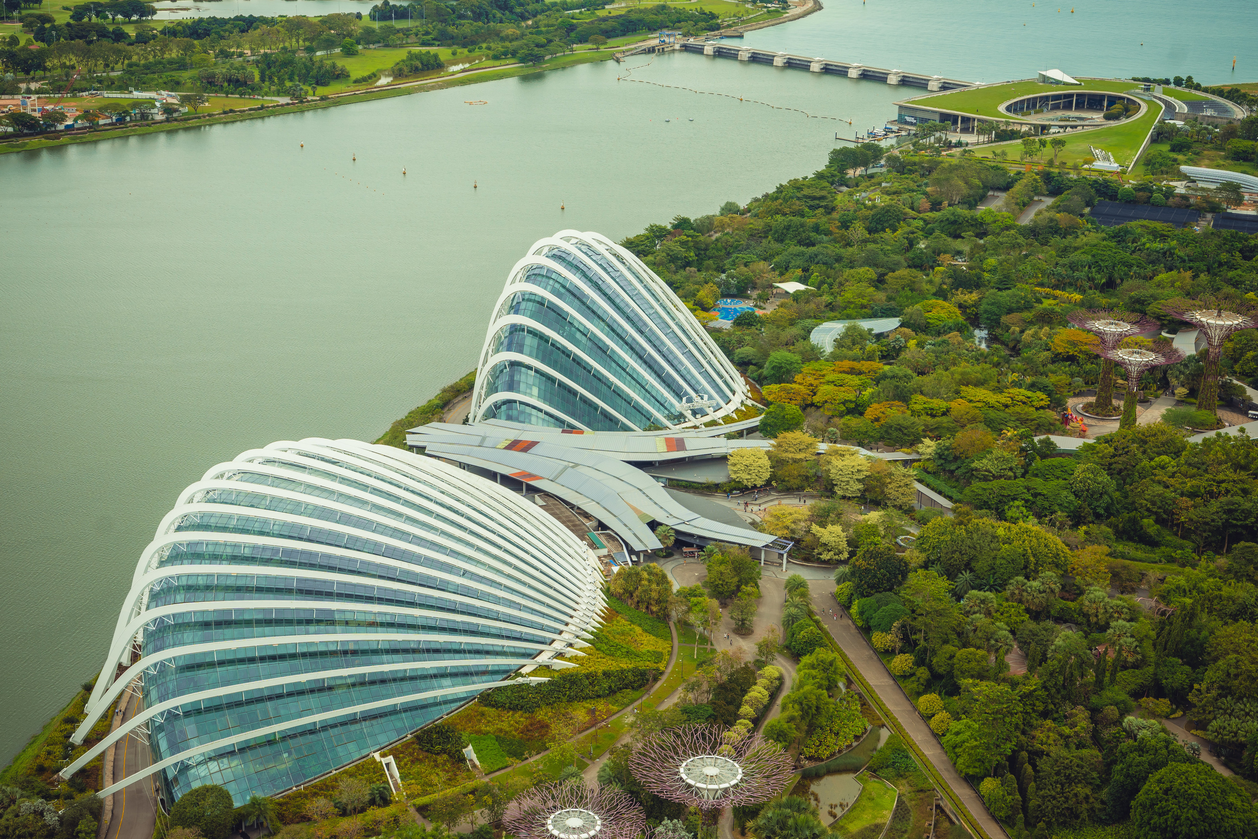 Сингапур. Фотографирую для себя, своей семьи и друзей!