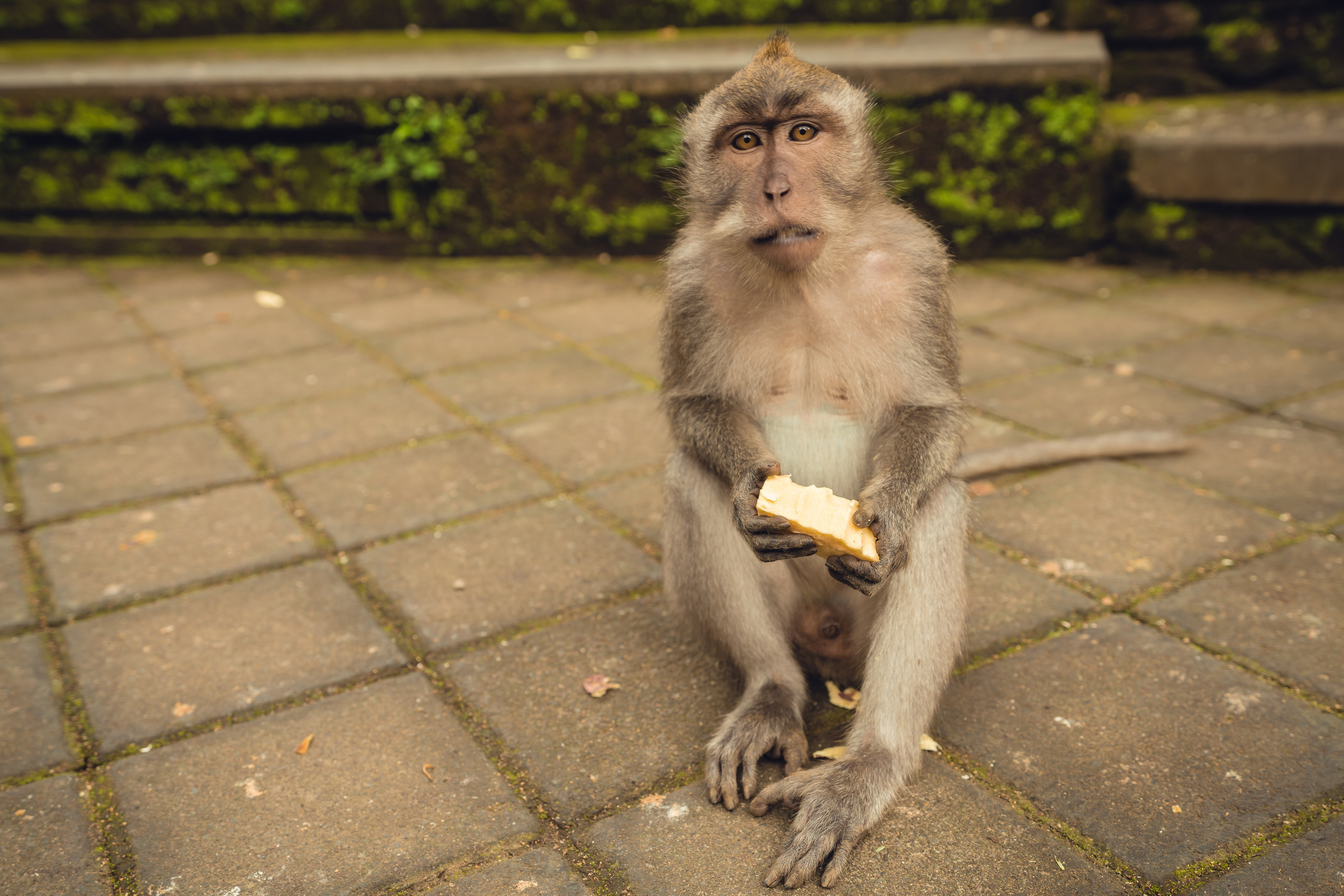 Бали. Фотографирую для себя, своей семьи и друзей!