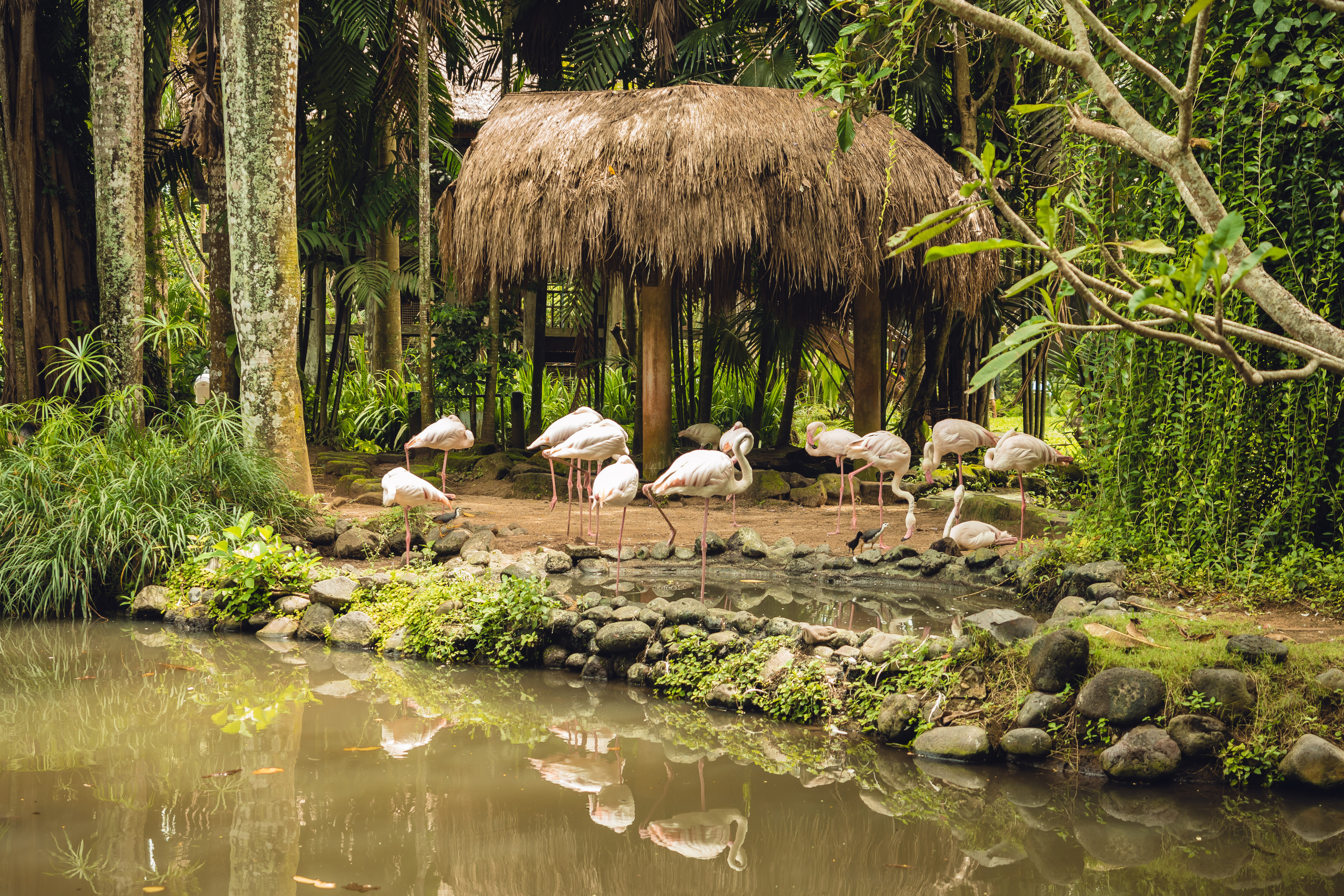 Бали. Фотографирую для себя, своей семьи и друзей!