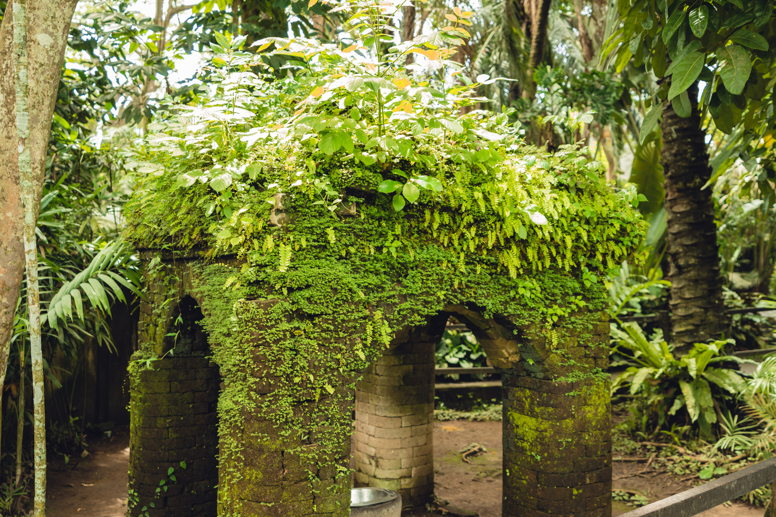 Бали. Фотографирую для себя, своей семьи и друзей!