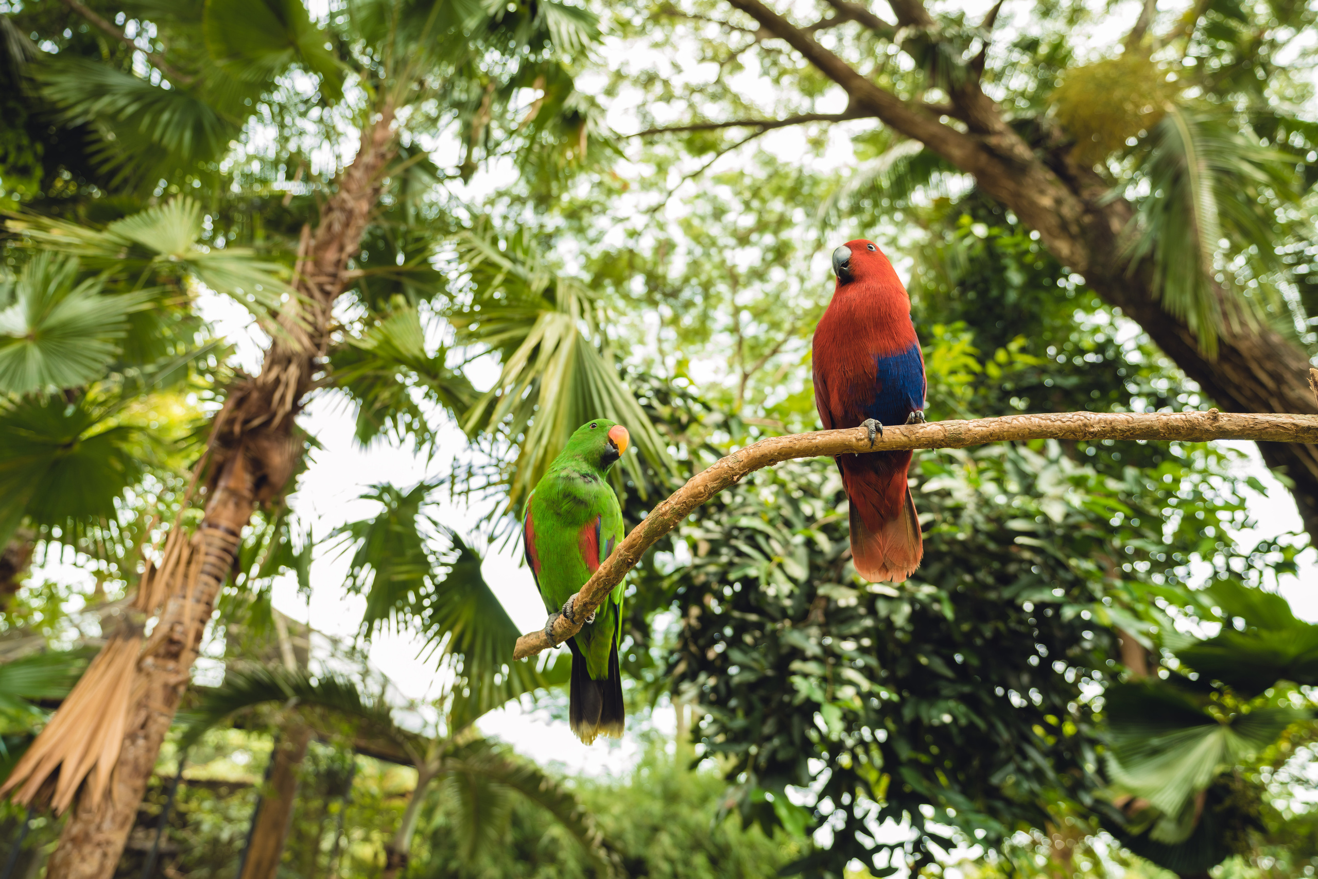 Бали. Фотографирую для себя, своей семьи и друзей!
