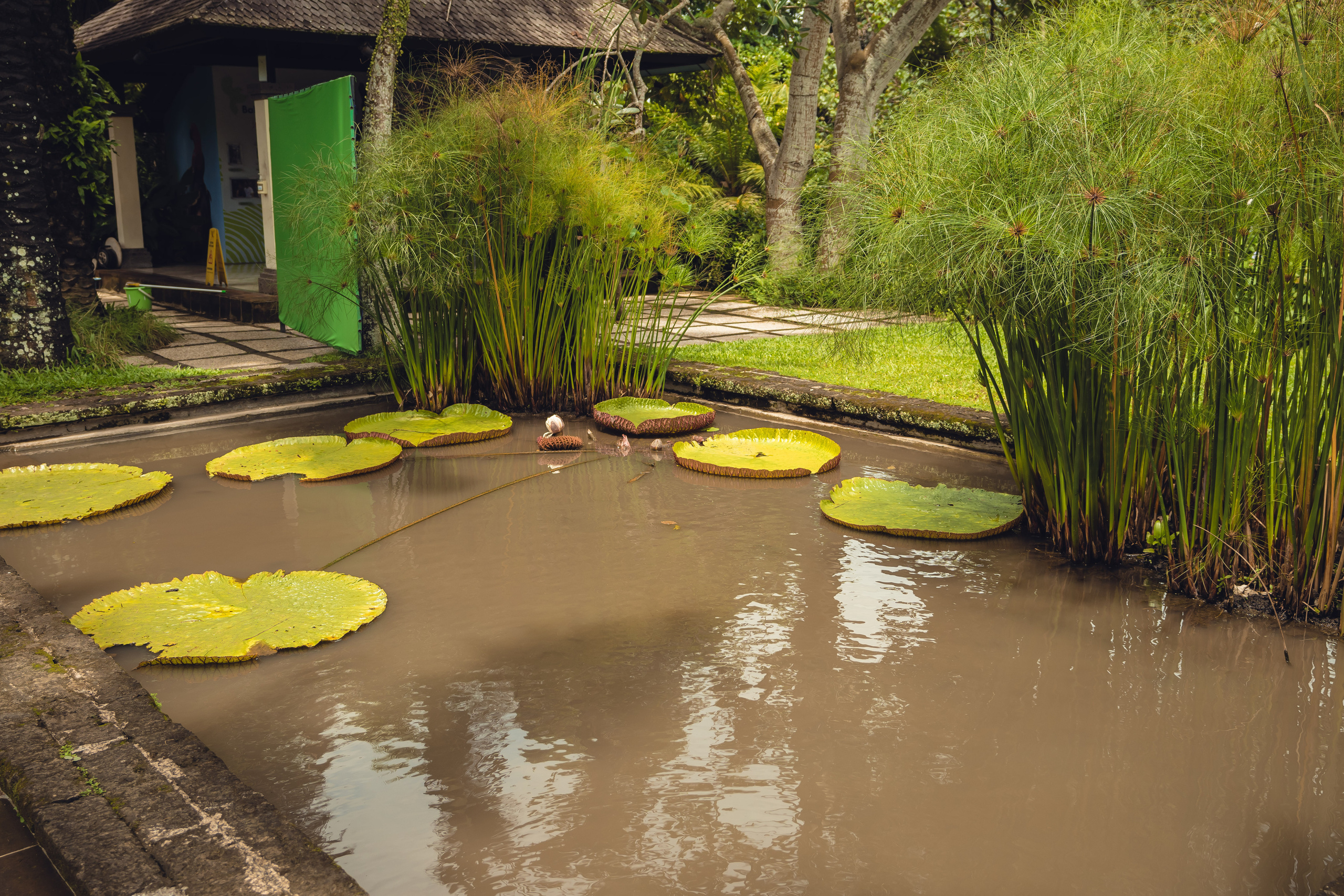 Бали. Фотографирую для себя, своей семьи и друзей!