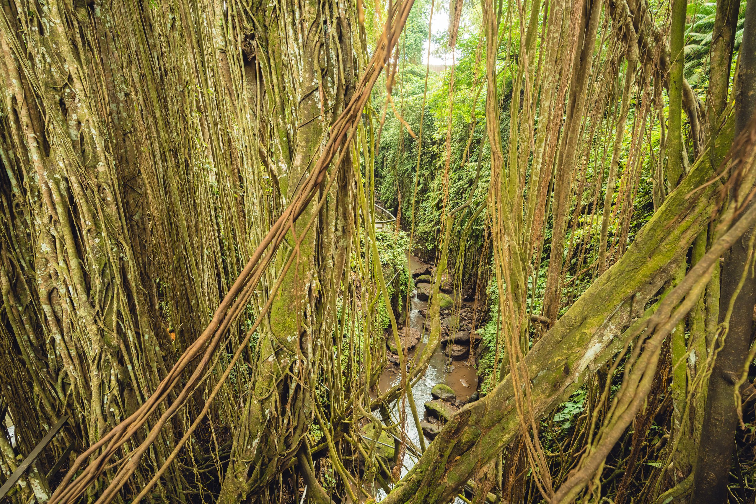 Бали. Фотографирую для себя, своей семьи и друзей!