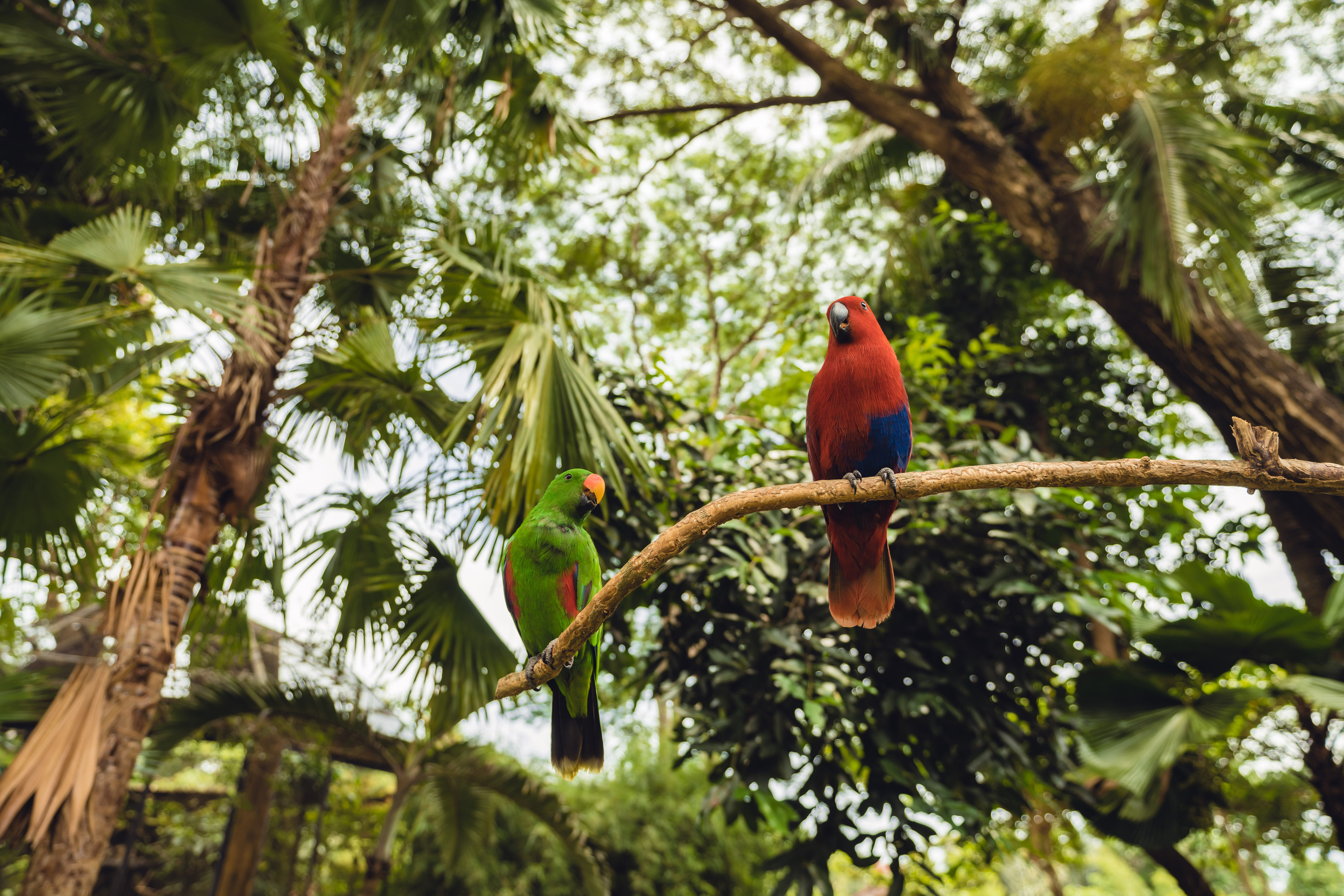 Бали. Фотографирую для себя, своей семьи и друзей!