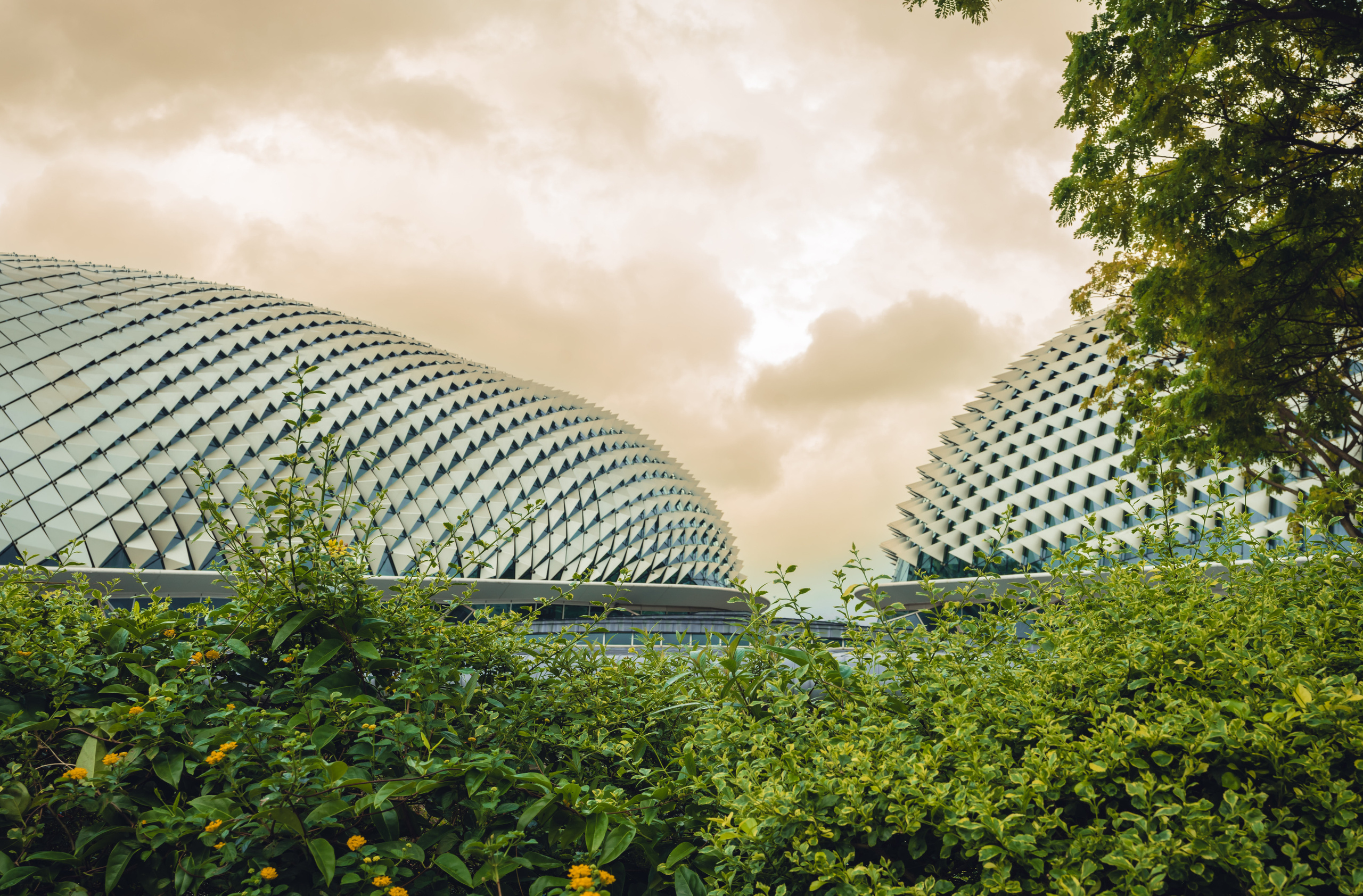 Сингапур. Фотографирую для себя, своей семьи и друзей!