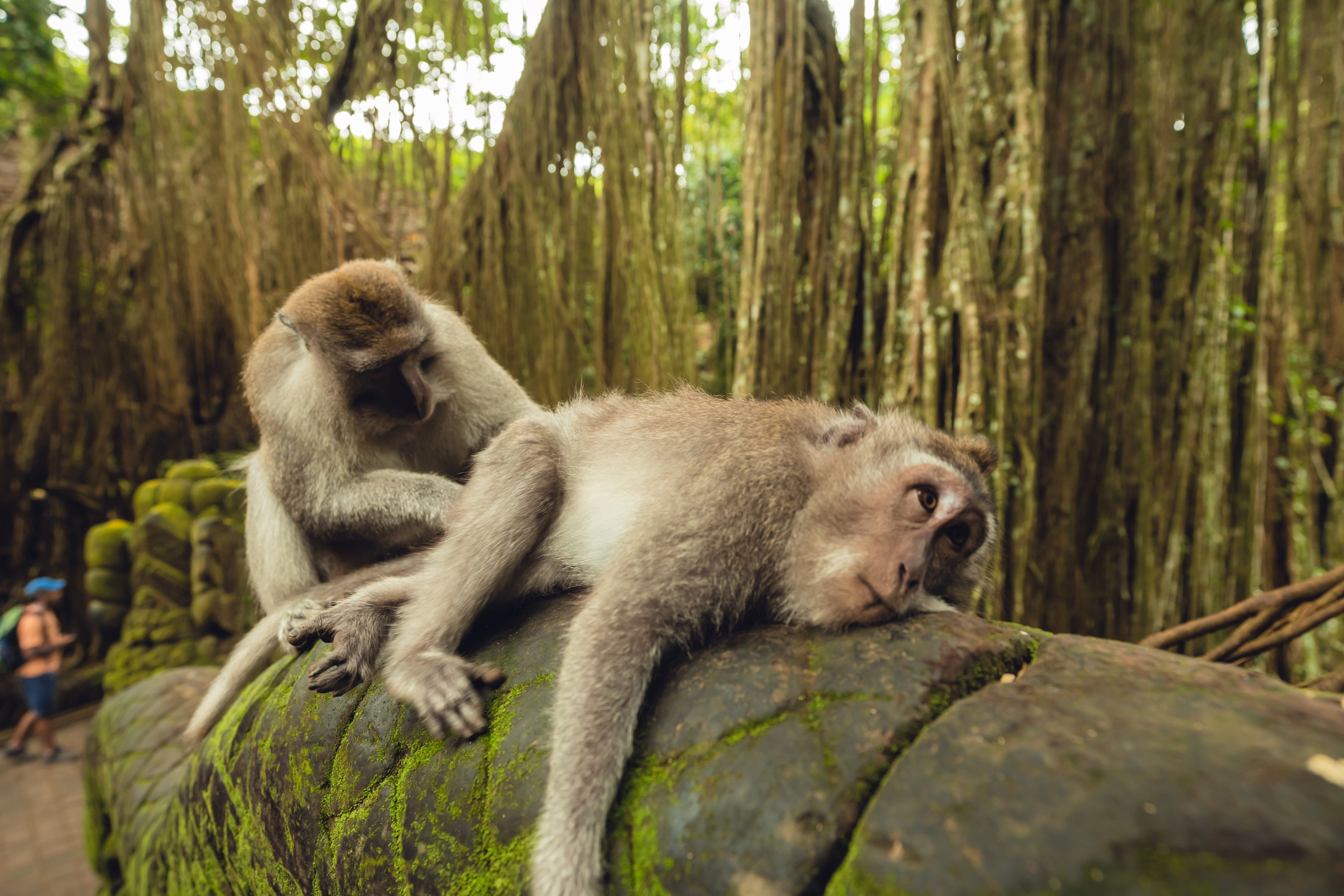 Бали. Фотографирую для себя, своей семьи и друзей!