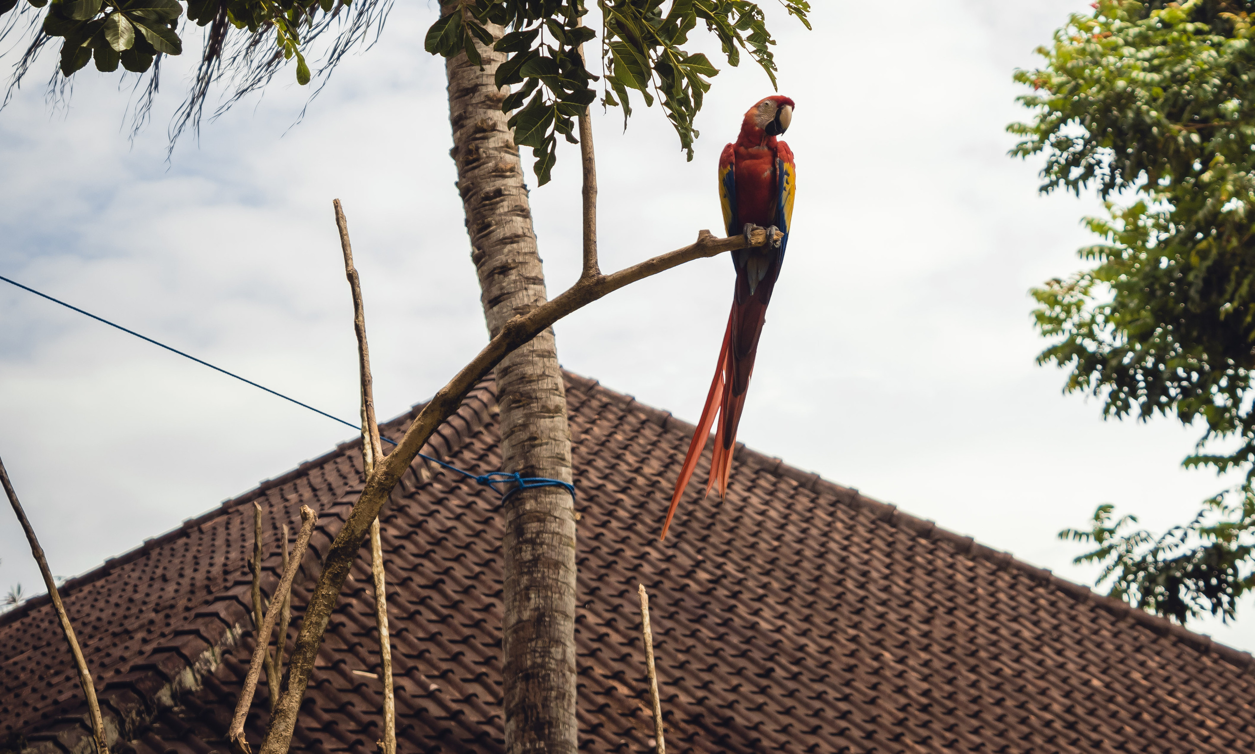 Бали. Фотографирую для себя, своей семьи и друзей!