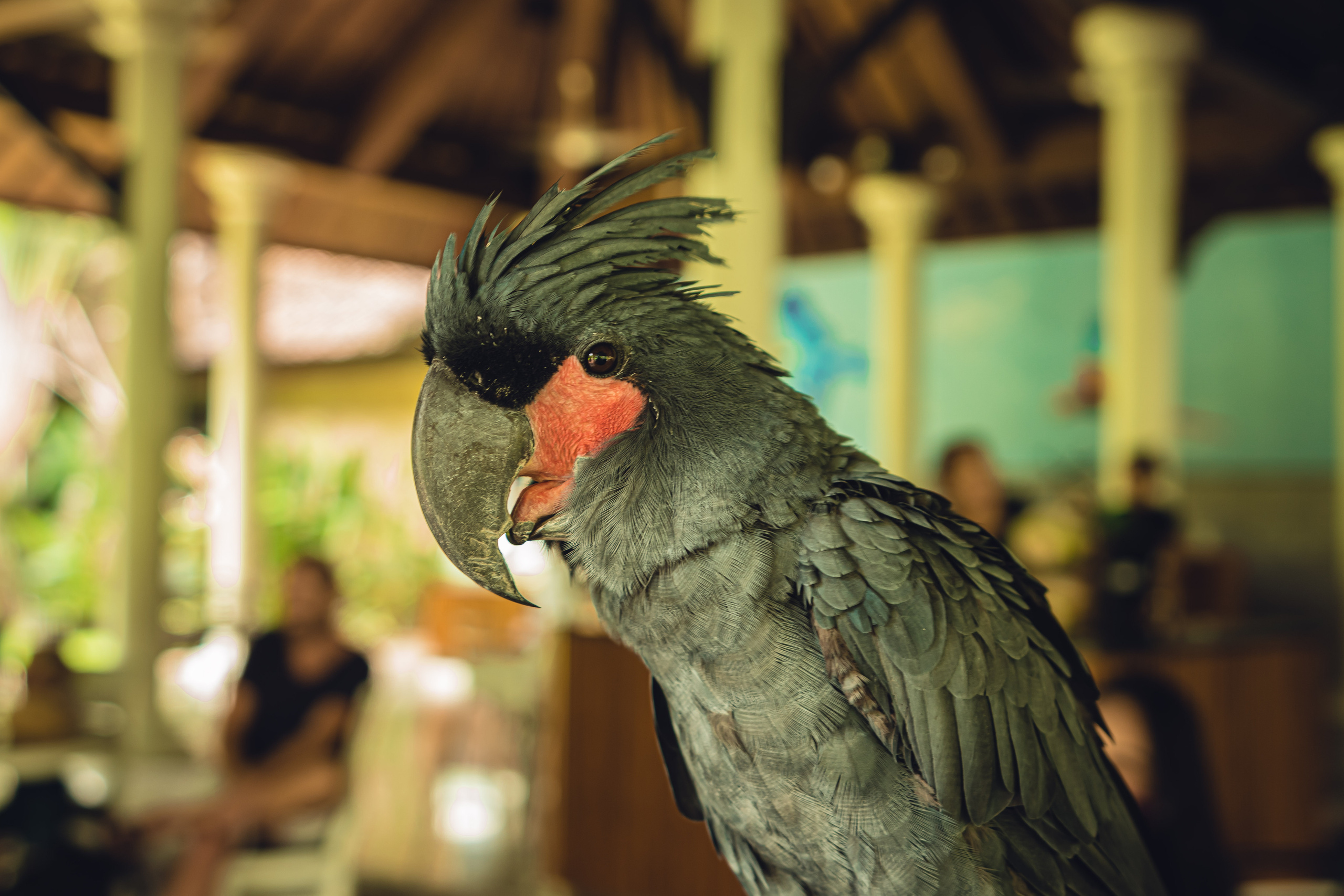 Бали. Фотографирую для себя, своей семьи и друзей!