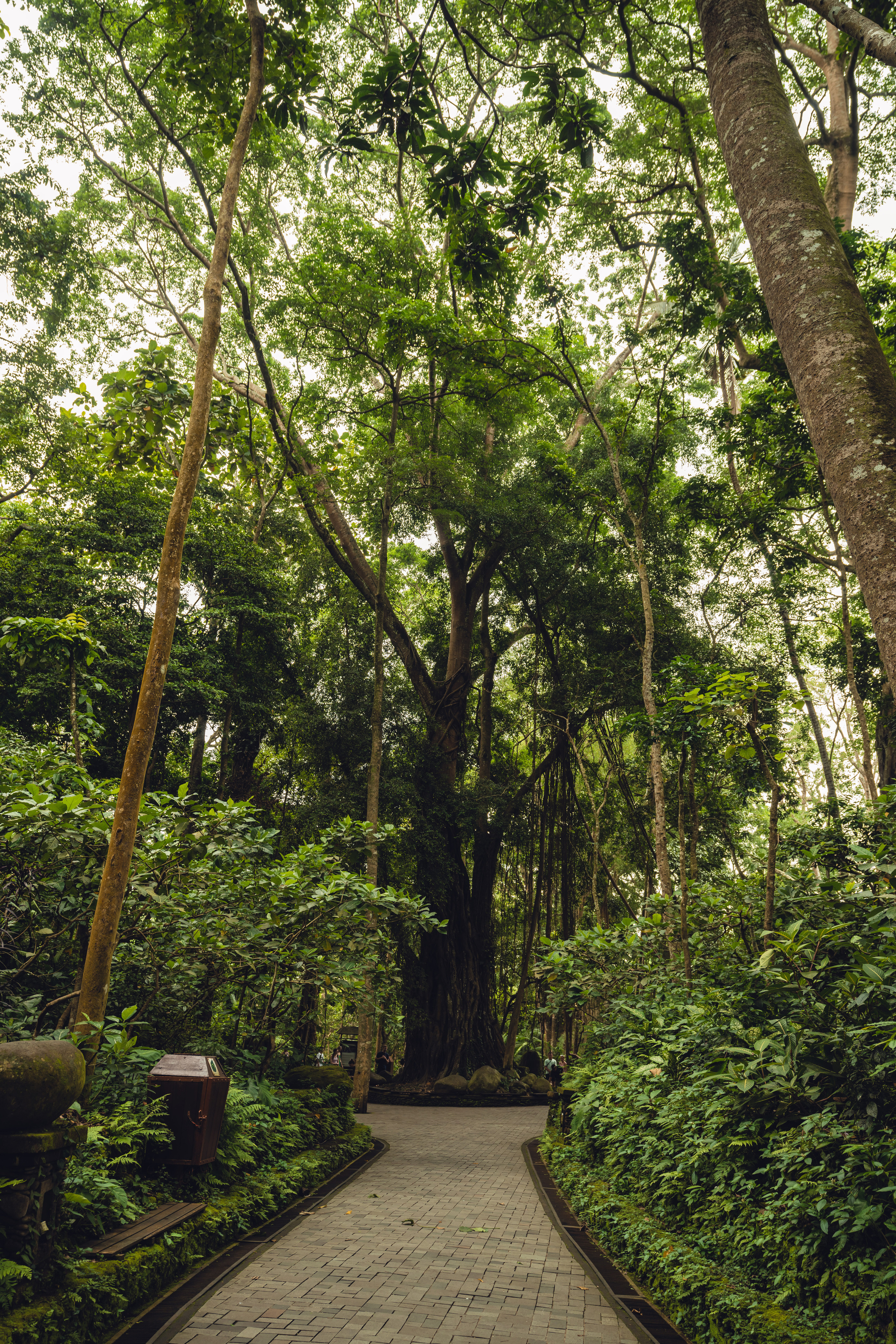 Бали. Фотографирую для себя, своей семьи и друзей!