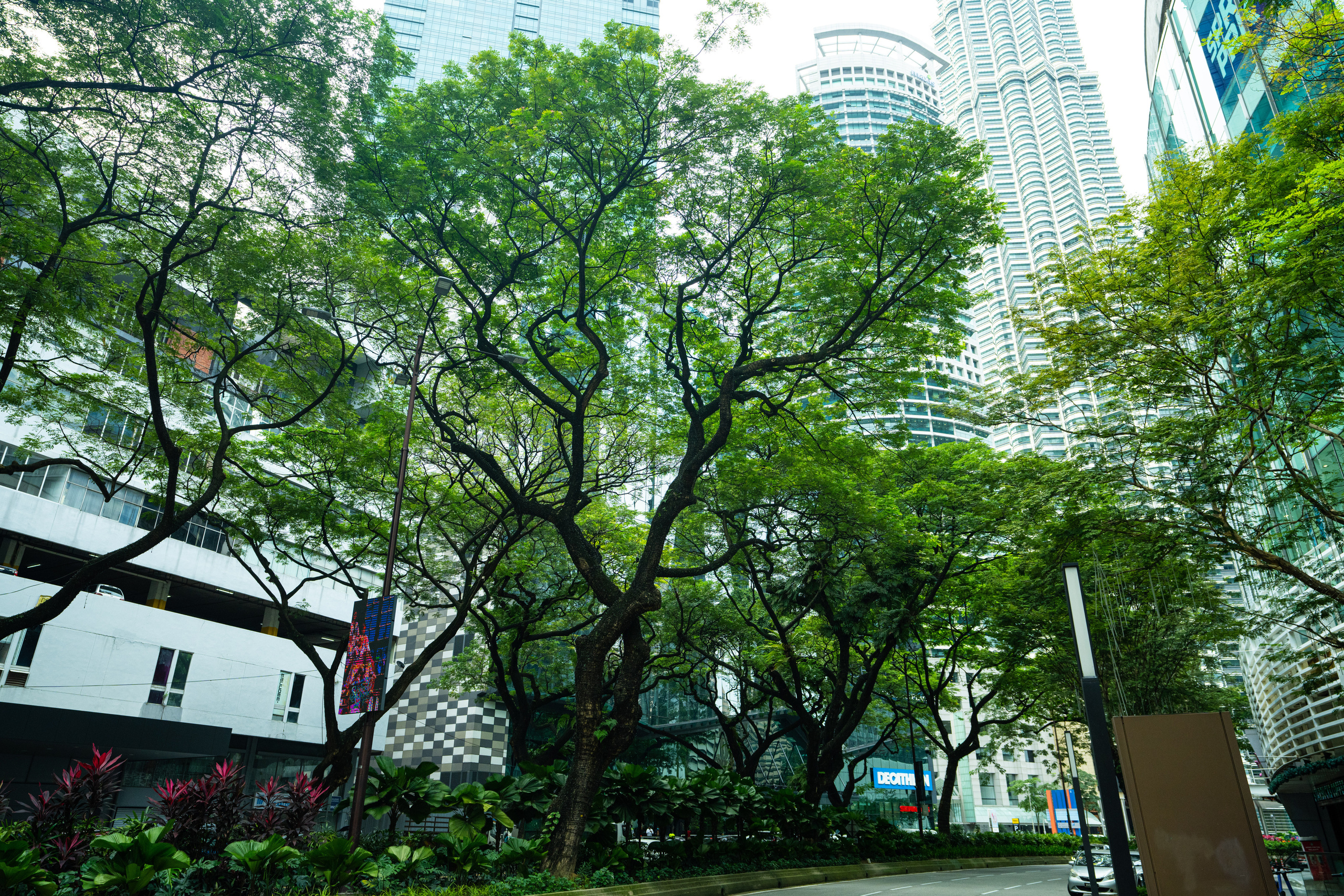 Куала Лумпур. Фотографирую для себя, своей семьи и друзей!