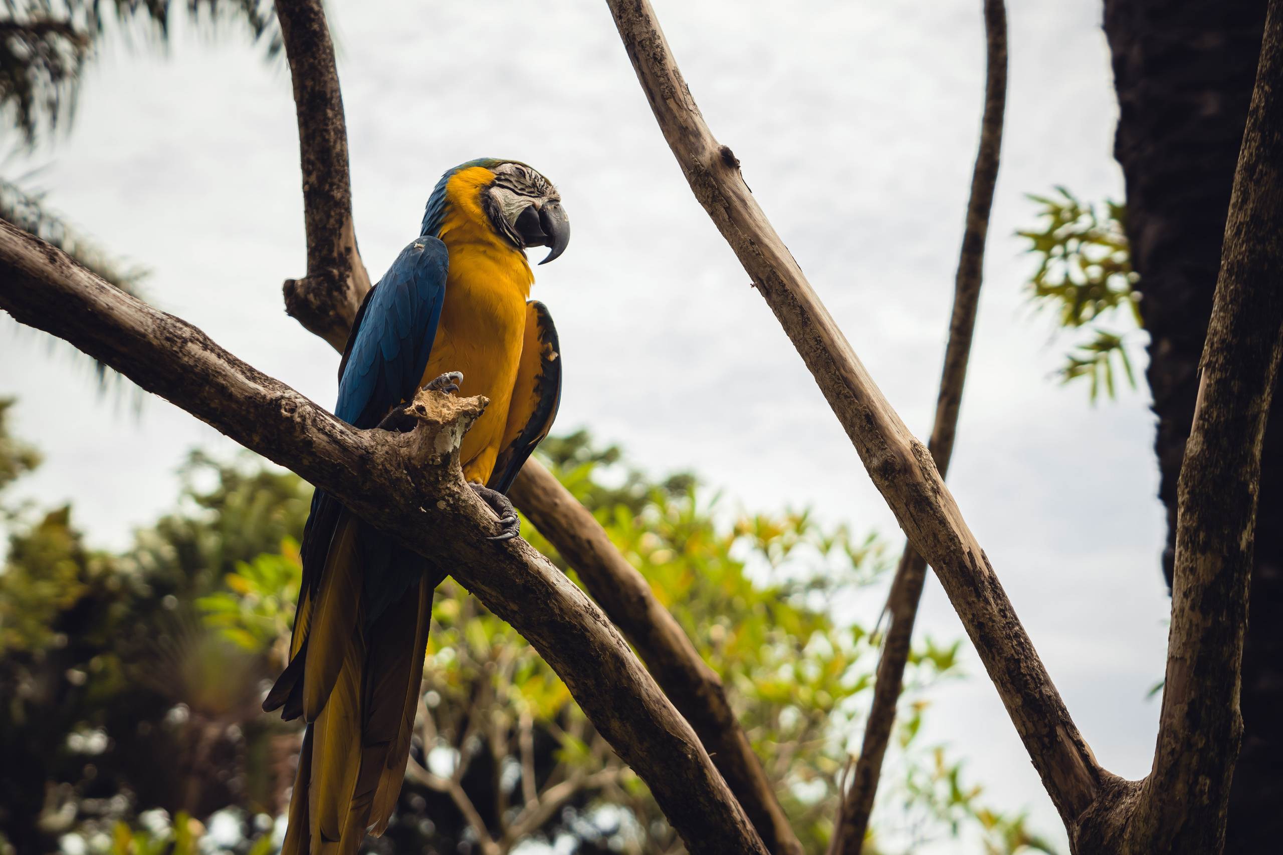 Бали. Фотографирую для себя, своей семьи и друзей!