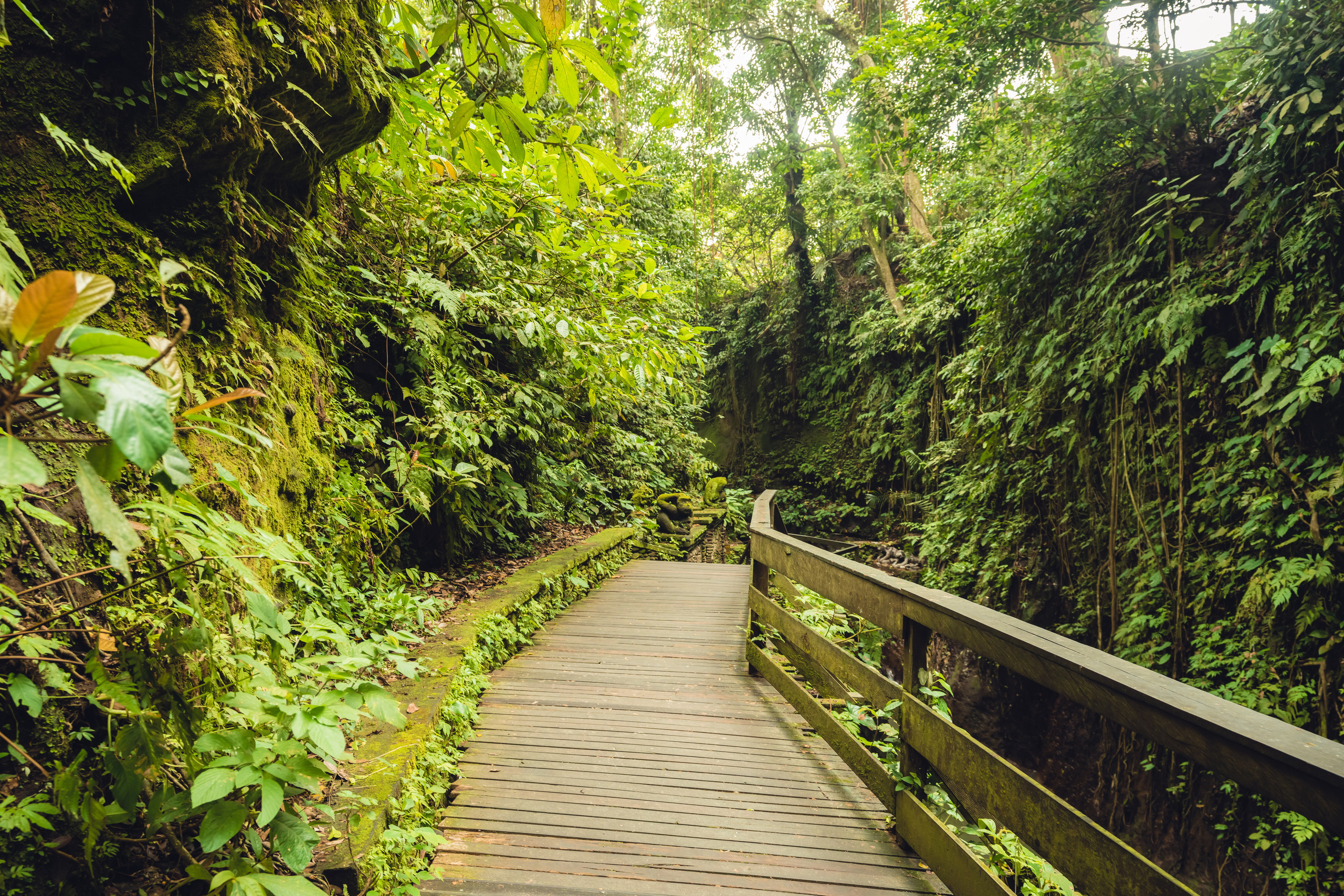 Бали. Фотографирую для себя, своей семьи и друзей!
