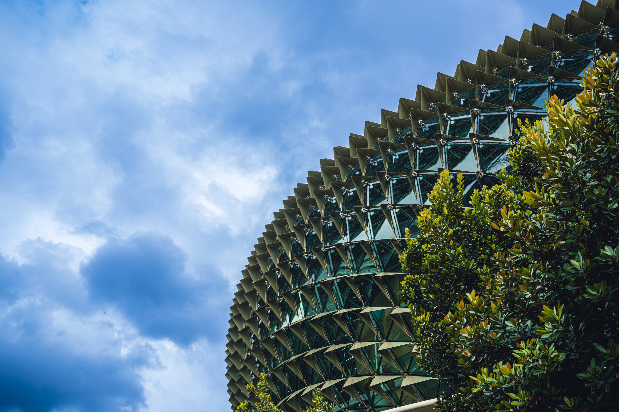 Сингапур. Фотографирую для себя, своей семьи и друзей!