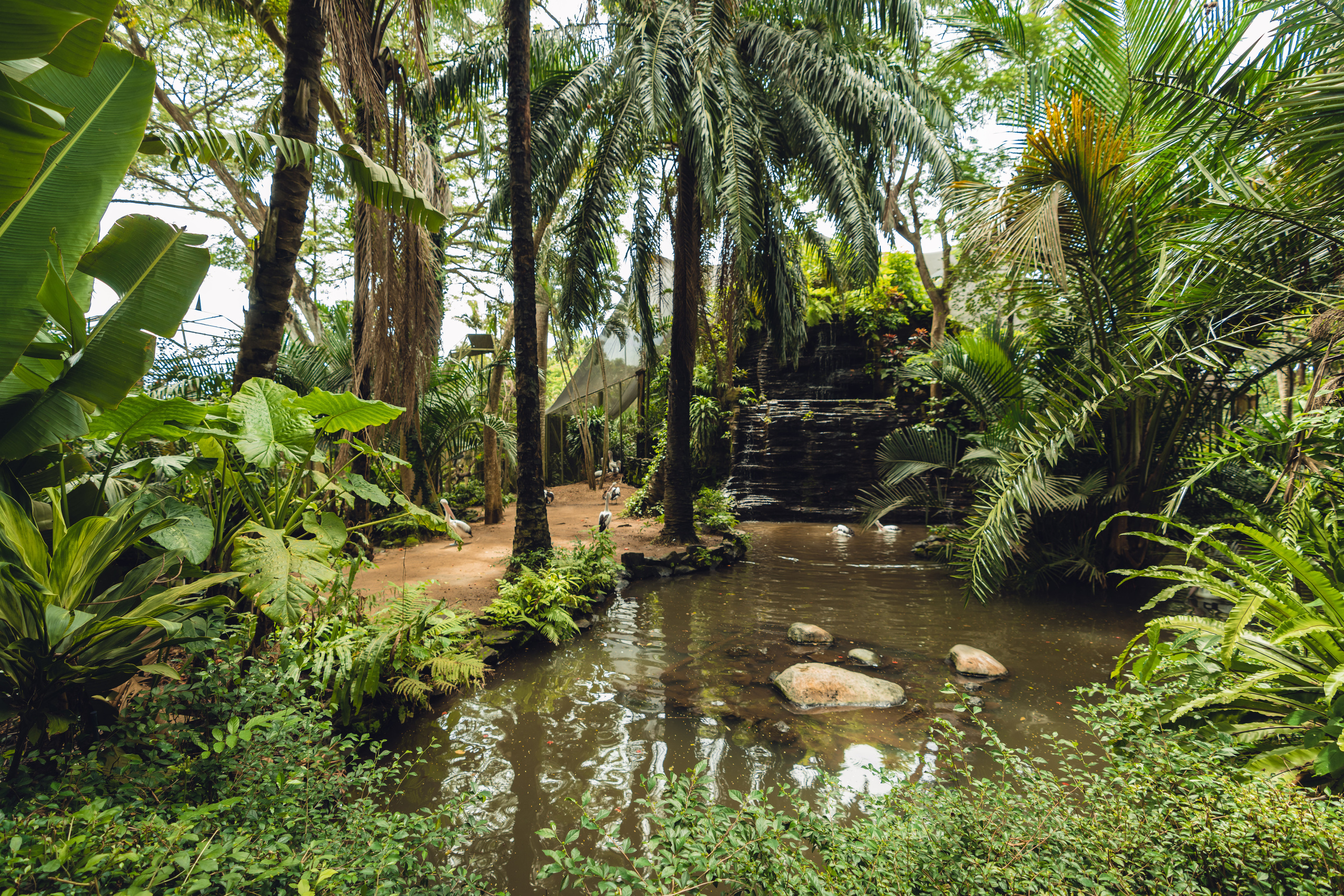 Бали. Фотографирую для себя, своей семьи и друзей!