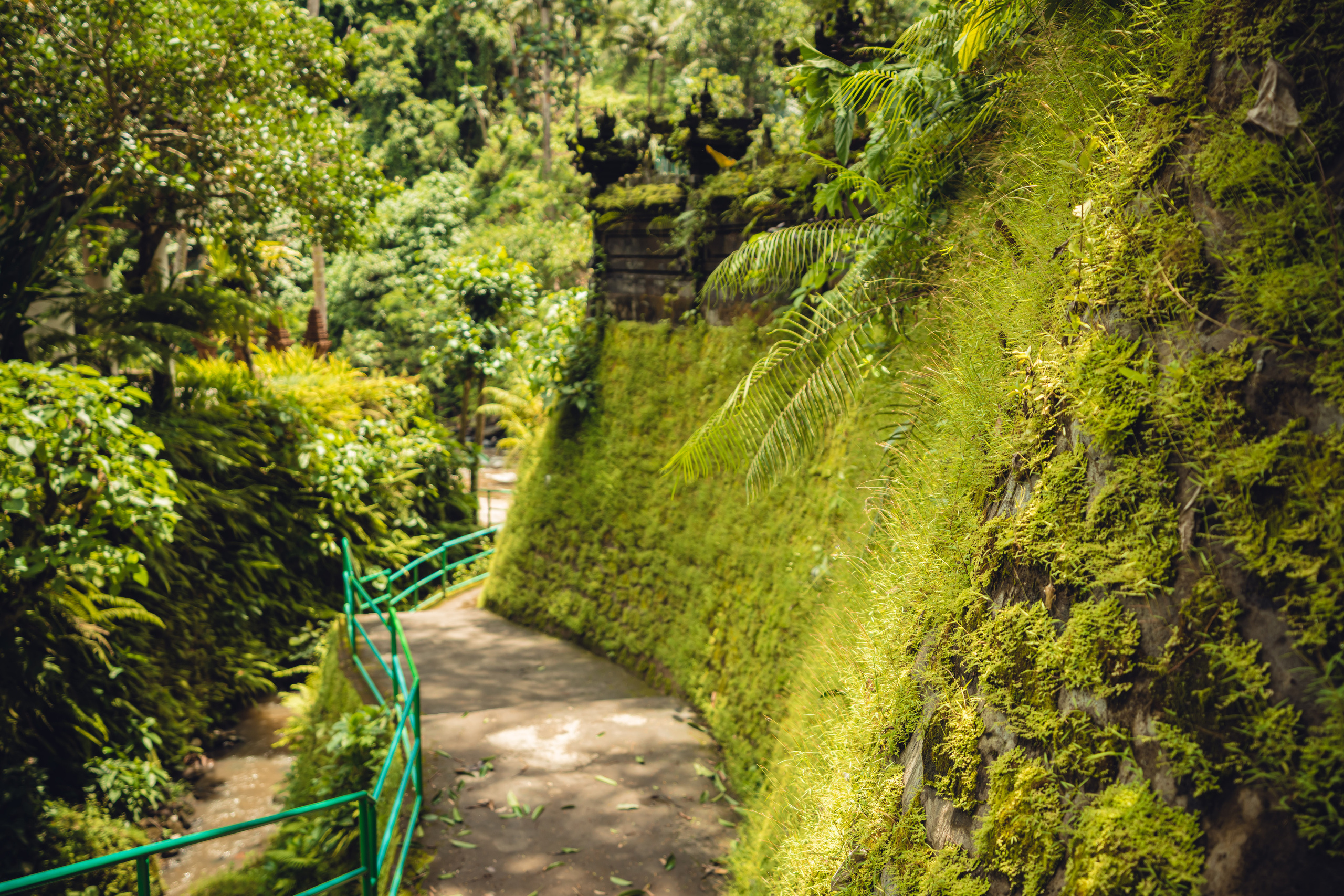 Бали. Фотографирую для себя, своей семьи и друзей!