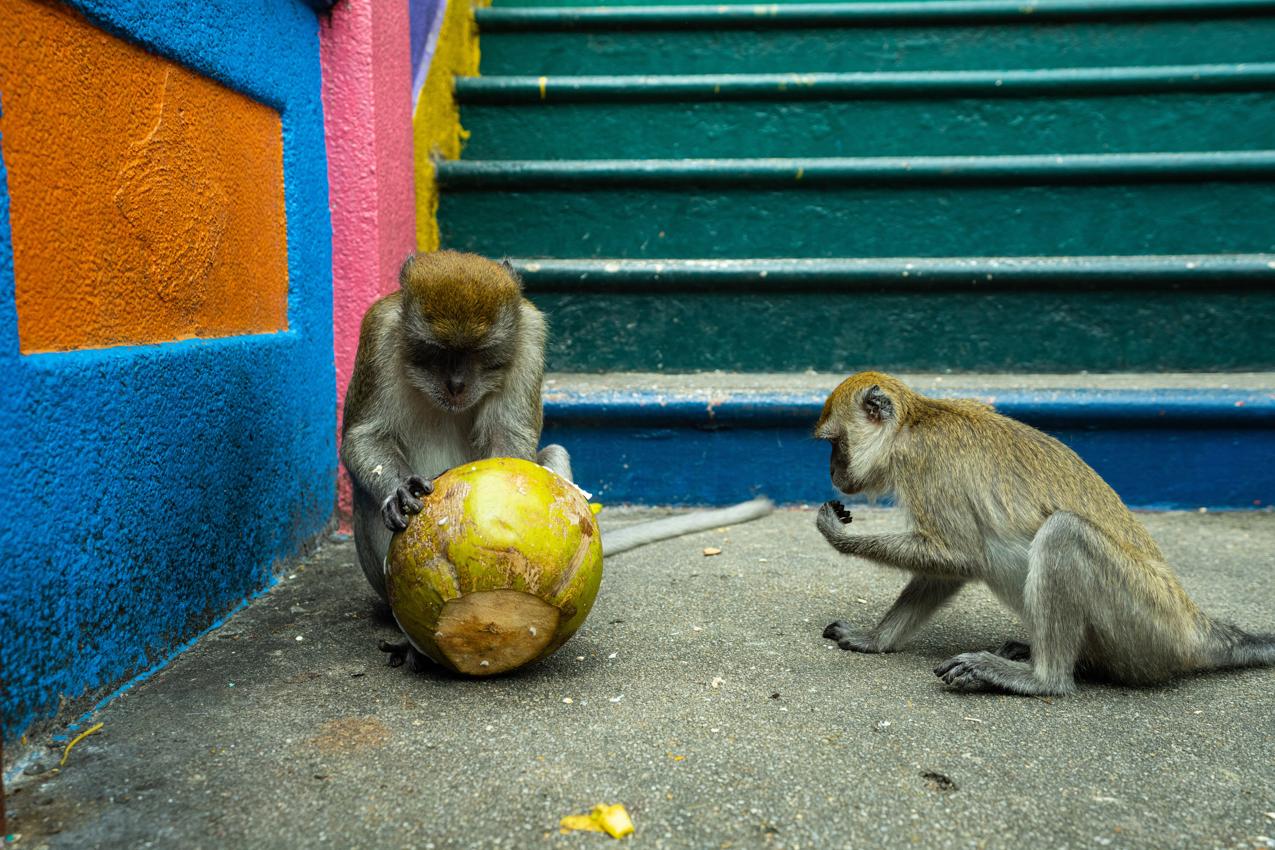 Куала Лумпур. Фотографирую для себя, своей семьи и друзей!