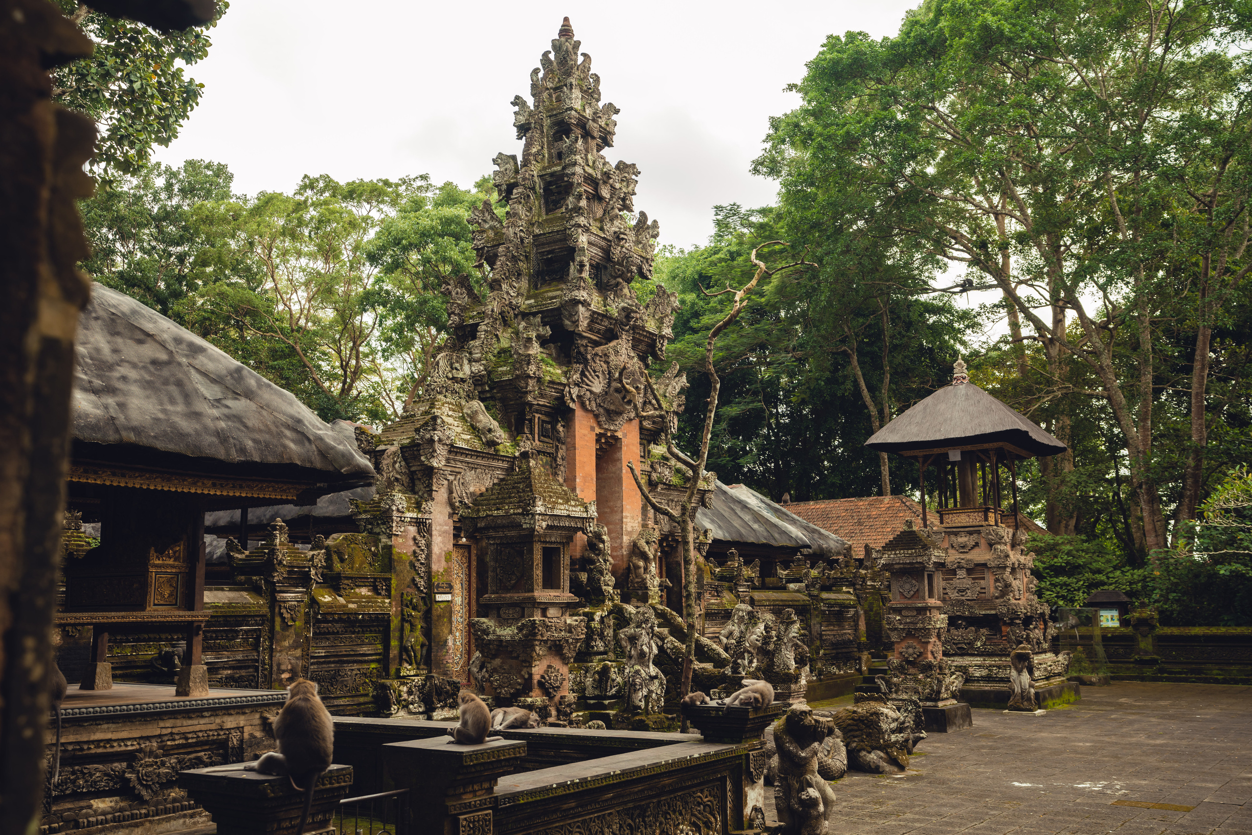 Бали. Фотографирую для себя, своей семьи и друзей!