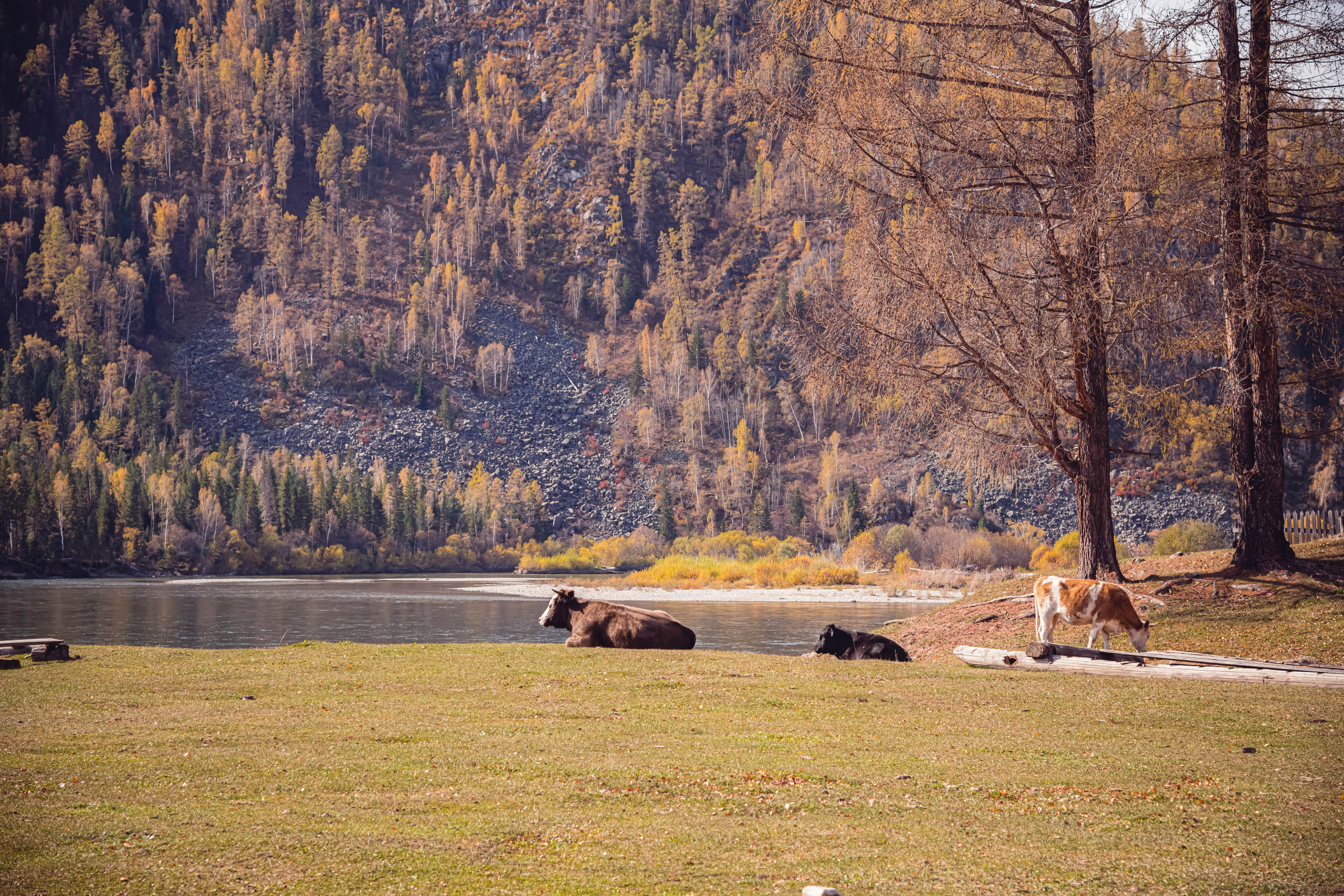 Алтай. Фотографирую для себя, своей семьи и друзей!