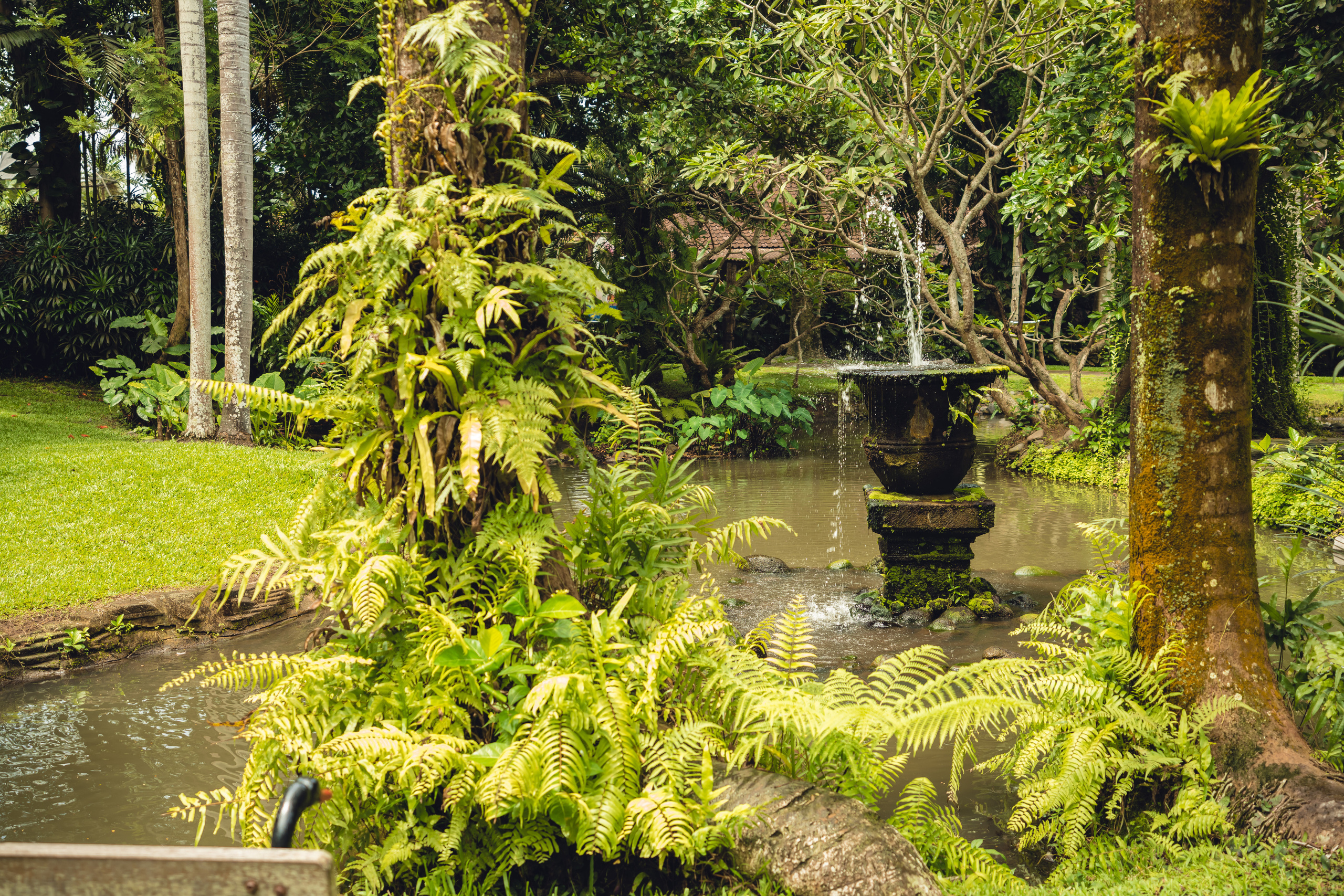 Бали. Фотографирую для себя, своей семьи и друзей!