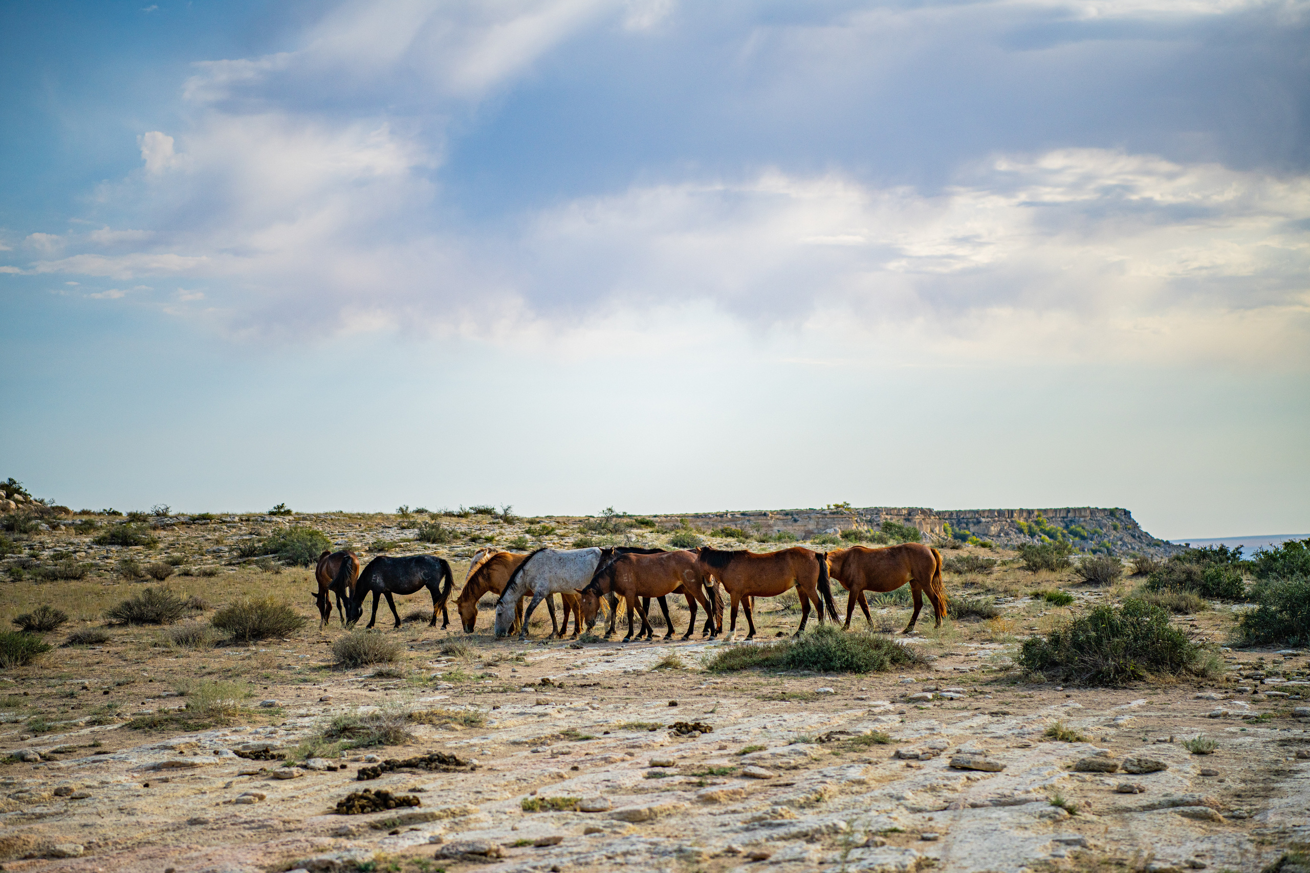 Мангистау. Фотографирую для себя, своей семьи и друзей!