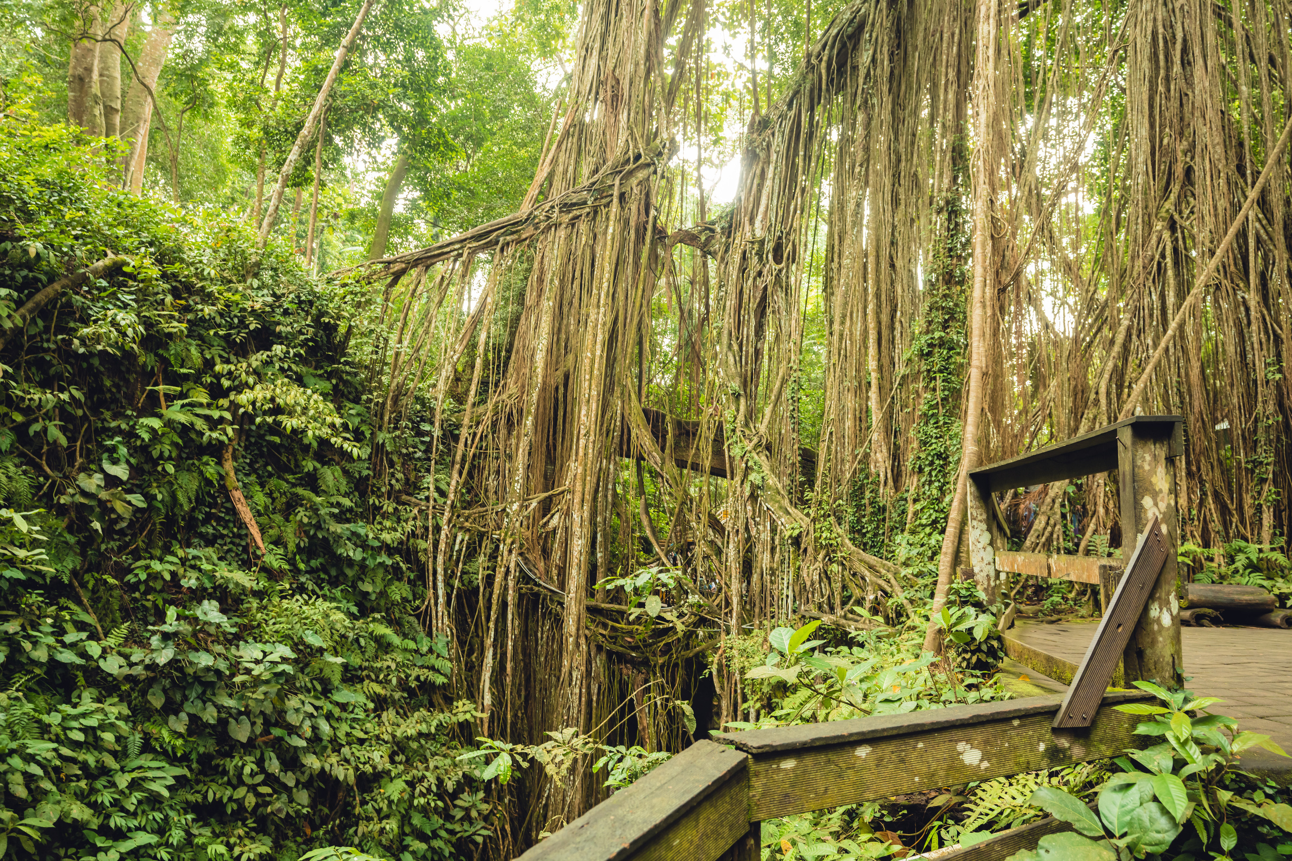 Бали. Фотографирую для себя, своей семьи и друзей!