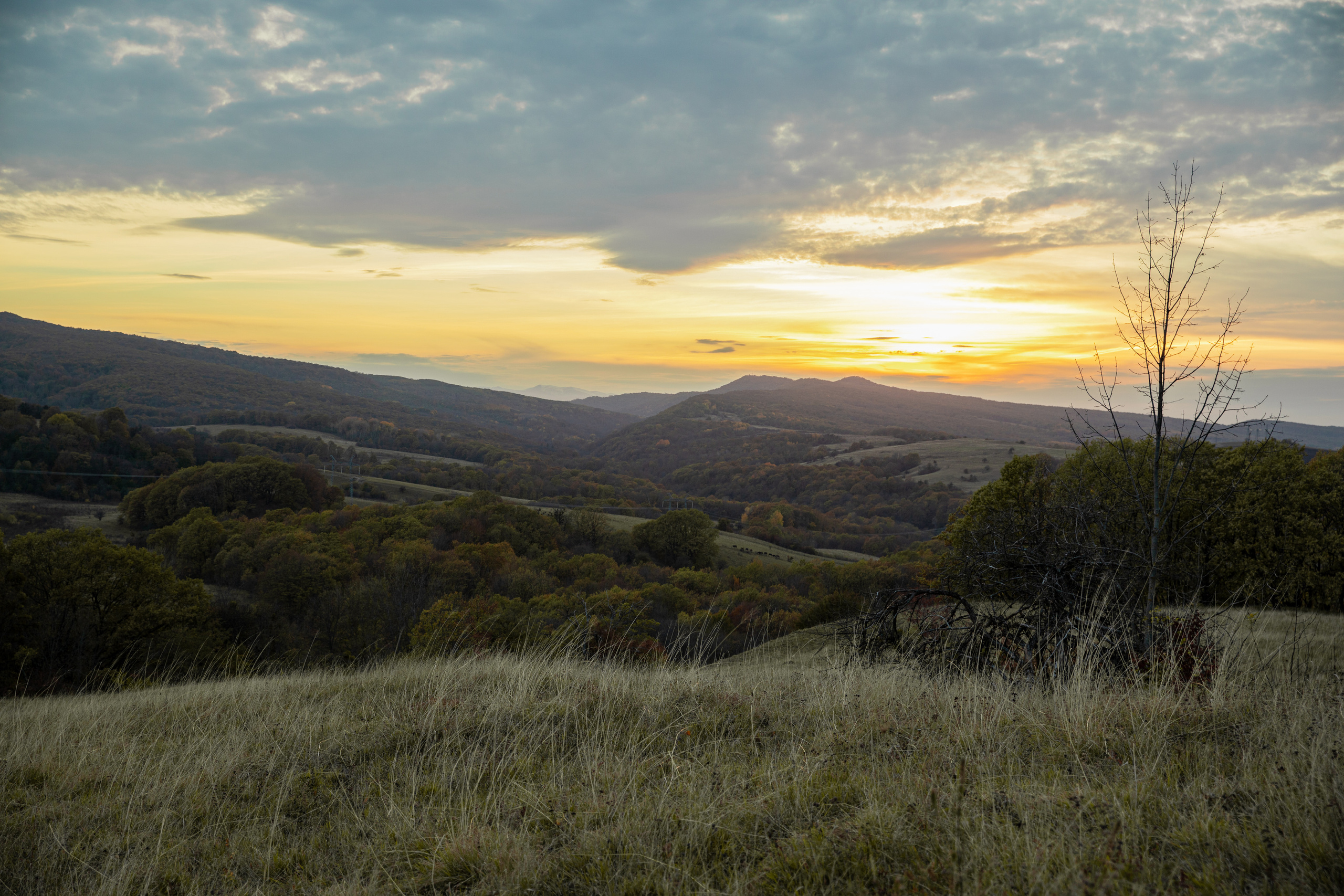 Северный Кавказ Волок. Фотографирую для себя, своей семьи и друзей!