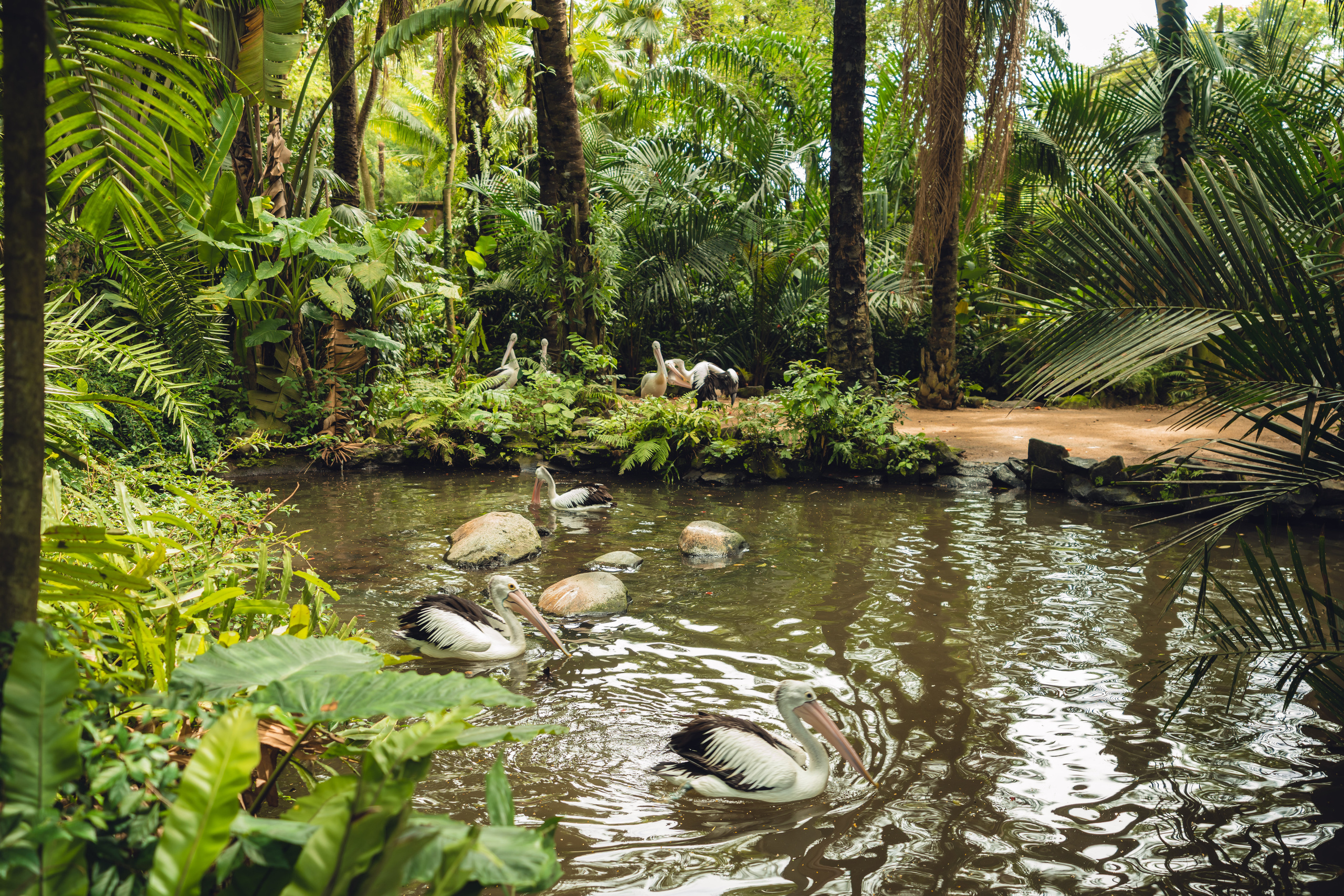 Бали. Фотографирую для себя, своей семьи и друзей!