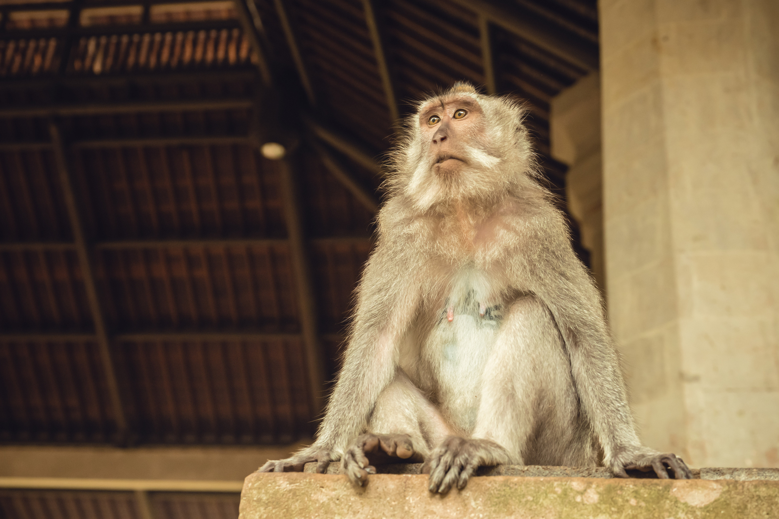 Бали. Фотографирую для себя, своей семьи и друзей!