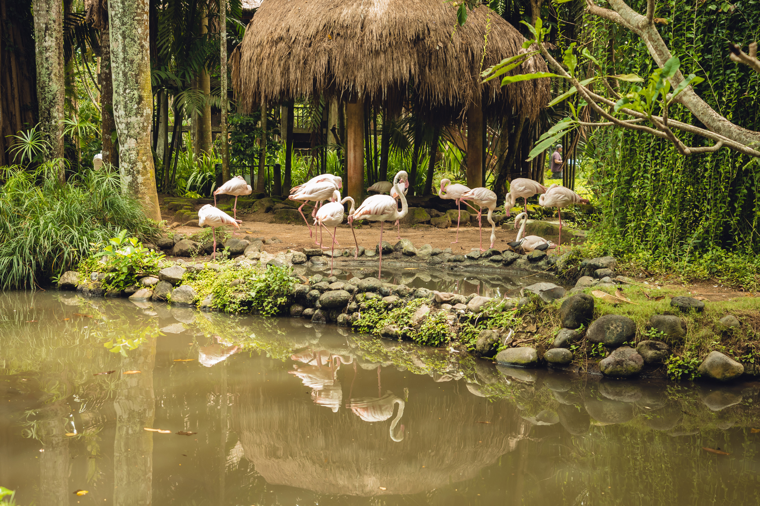Бали. Фотографирую для себя, своей семьи и друзей!