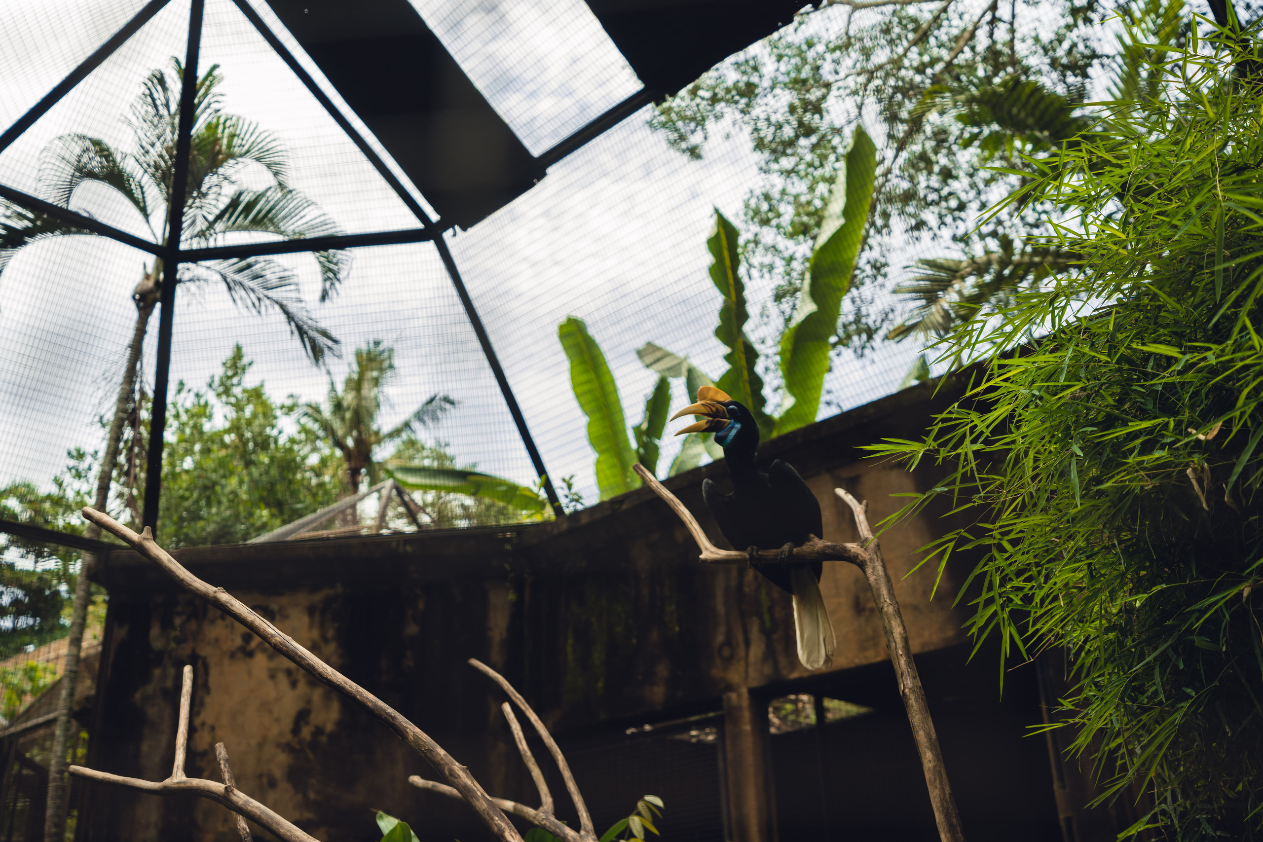 Бали. Фотографирую для себя, своей семьи и друзей!