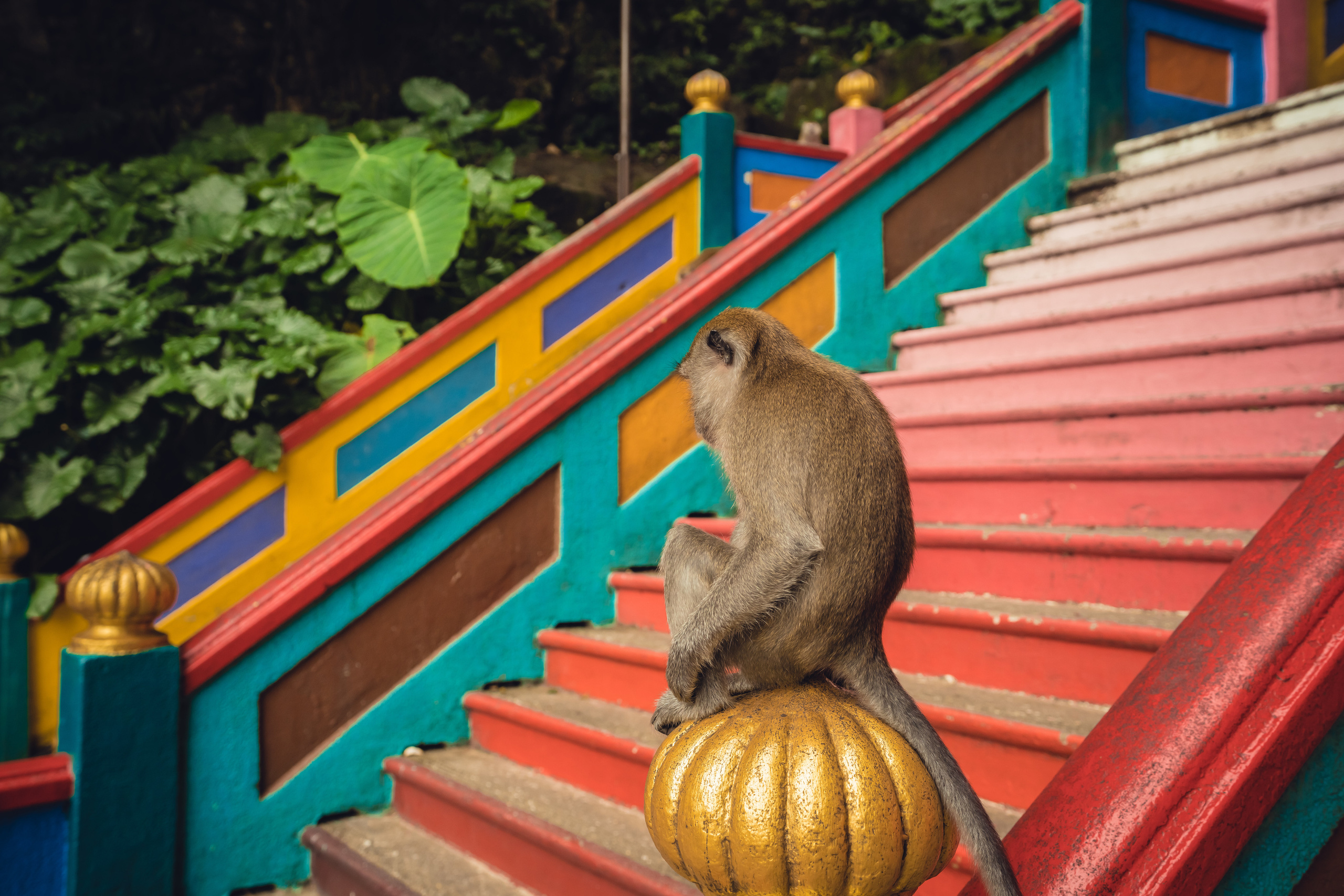 Куала Лумпур. Фотографирую для себя, своей семьи и друзей!