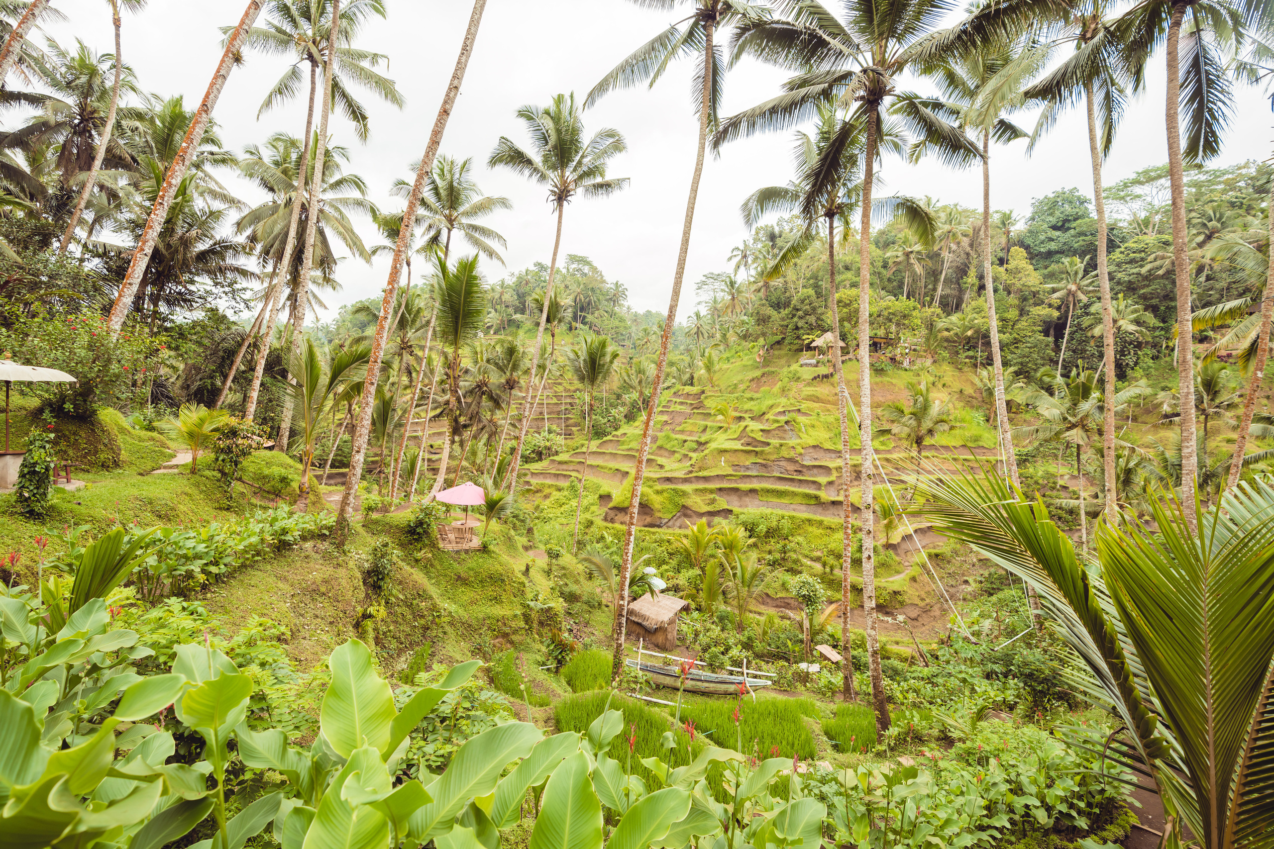 Бали. Фотографирую для себя, своей семьи и друзей!