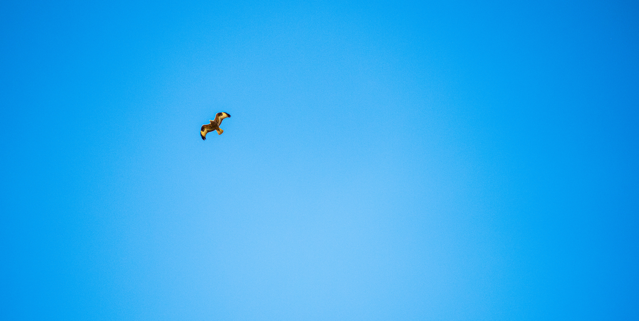 Мангистау. Фотографирую для себя, своей семьи и друзей!