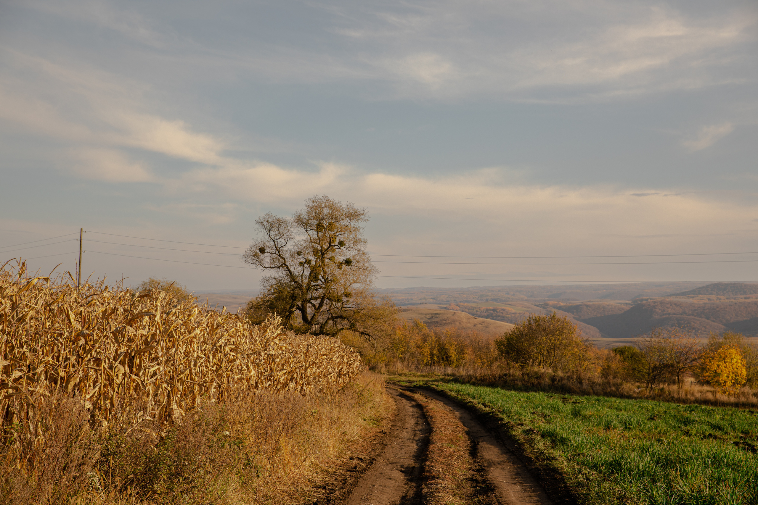 Северный Кавказ Волок. Фотографирую для себя, своей семьи и друзей!